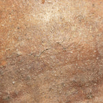 Shigaraki Tsubo | Antique Japanese Ceramic Storage Jar