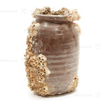 Takotsubo | Barnacle Encrusted Antique Japanese Pot