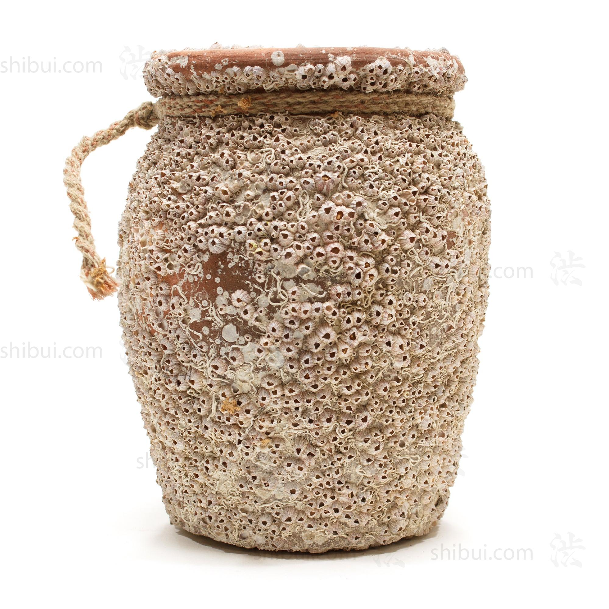 Takotsubo | Barnacle Crusted Vintage Japanese Pot