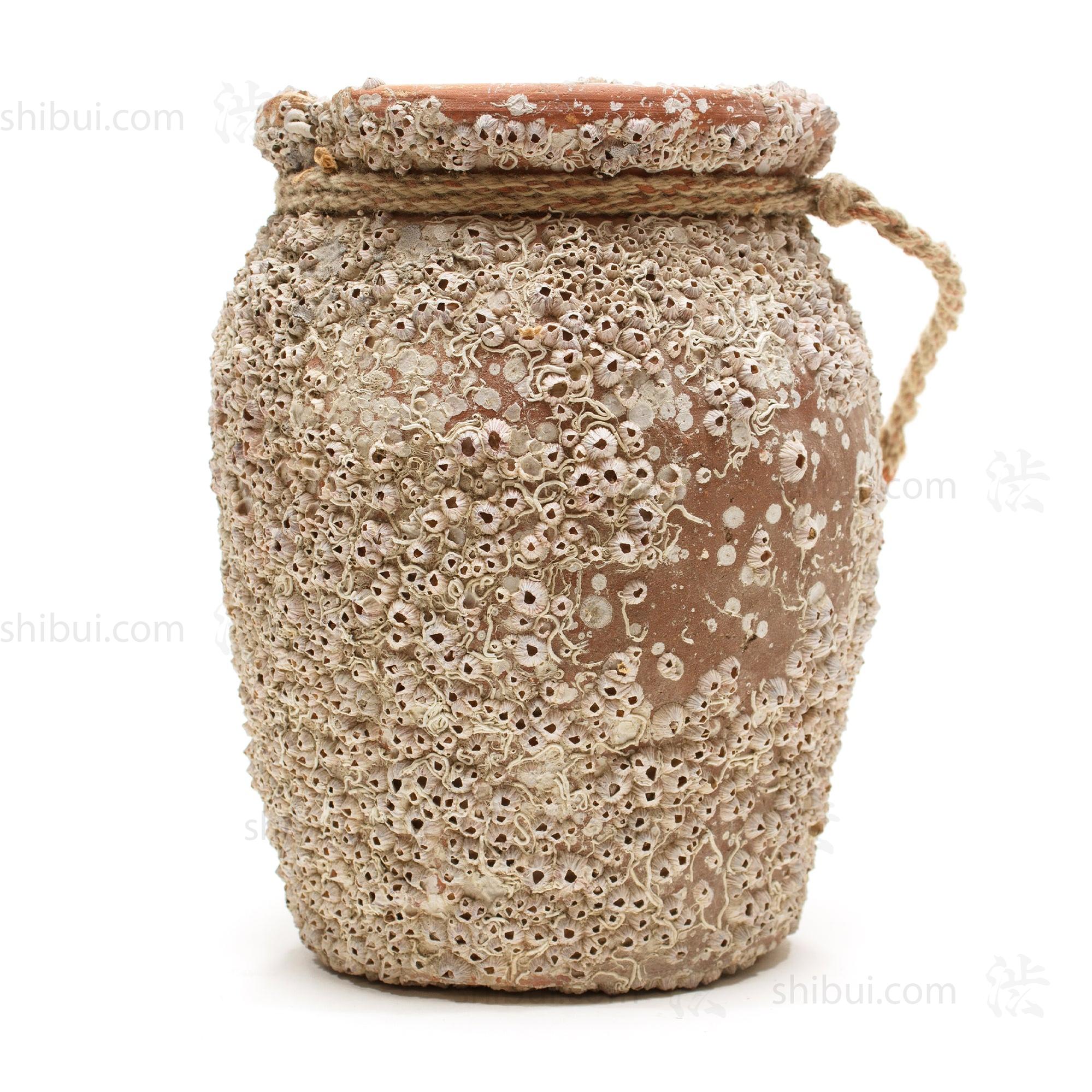Takotsubo | Barnacle Crusted Vintage Japanese Pot