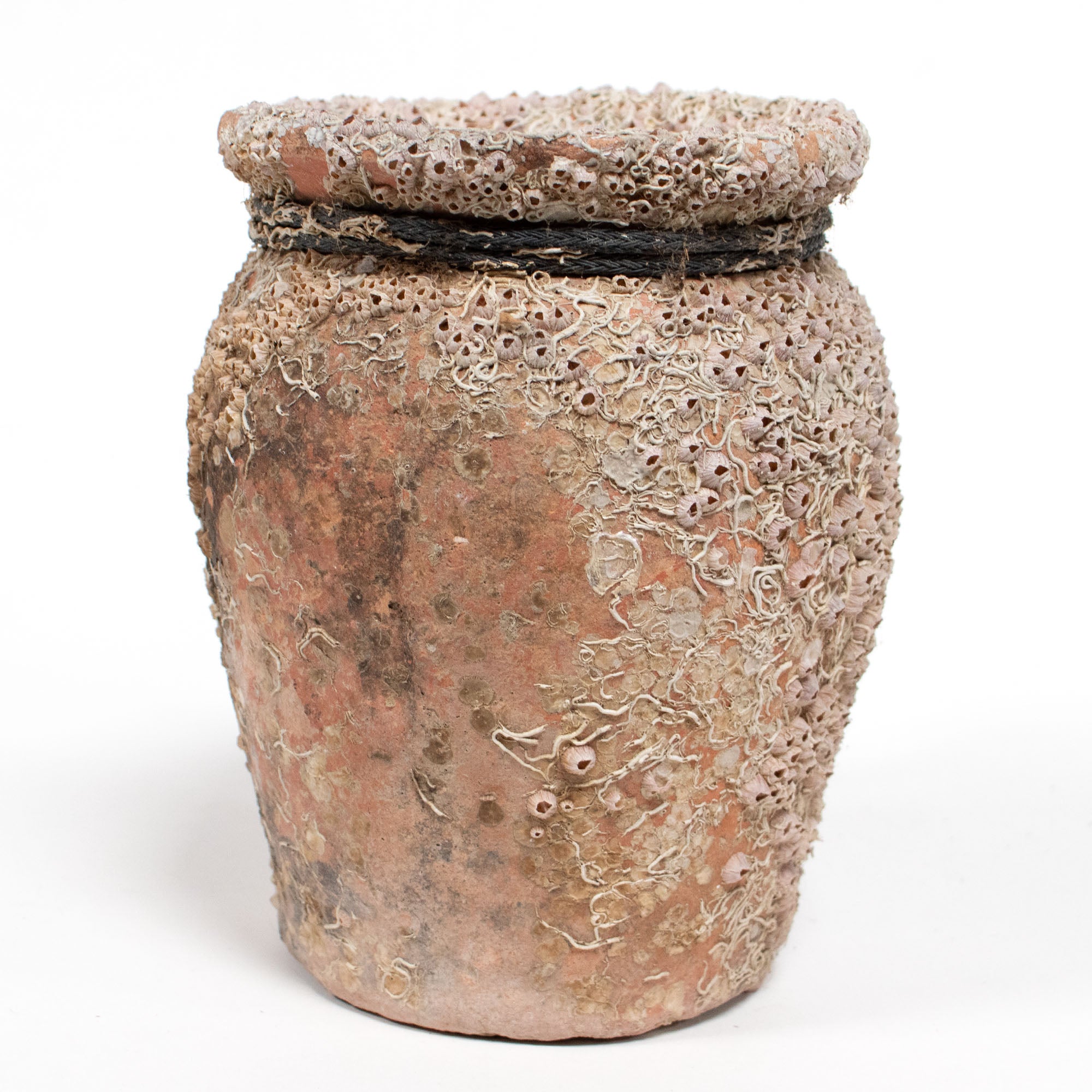 Takotsubo | Barnacle Encrusted Antique Japanese Pot