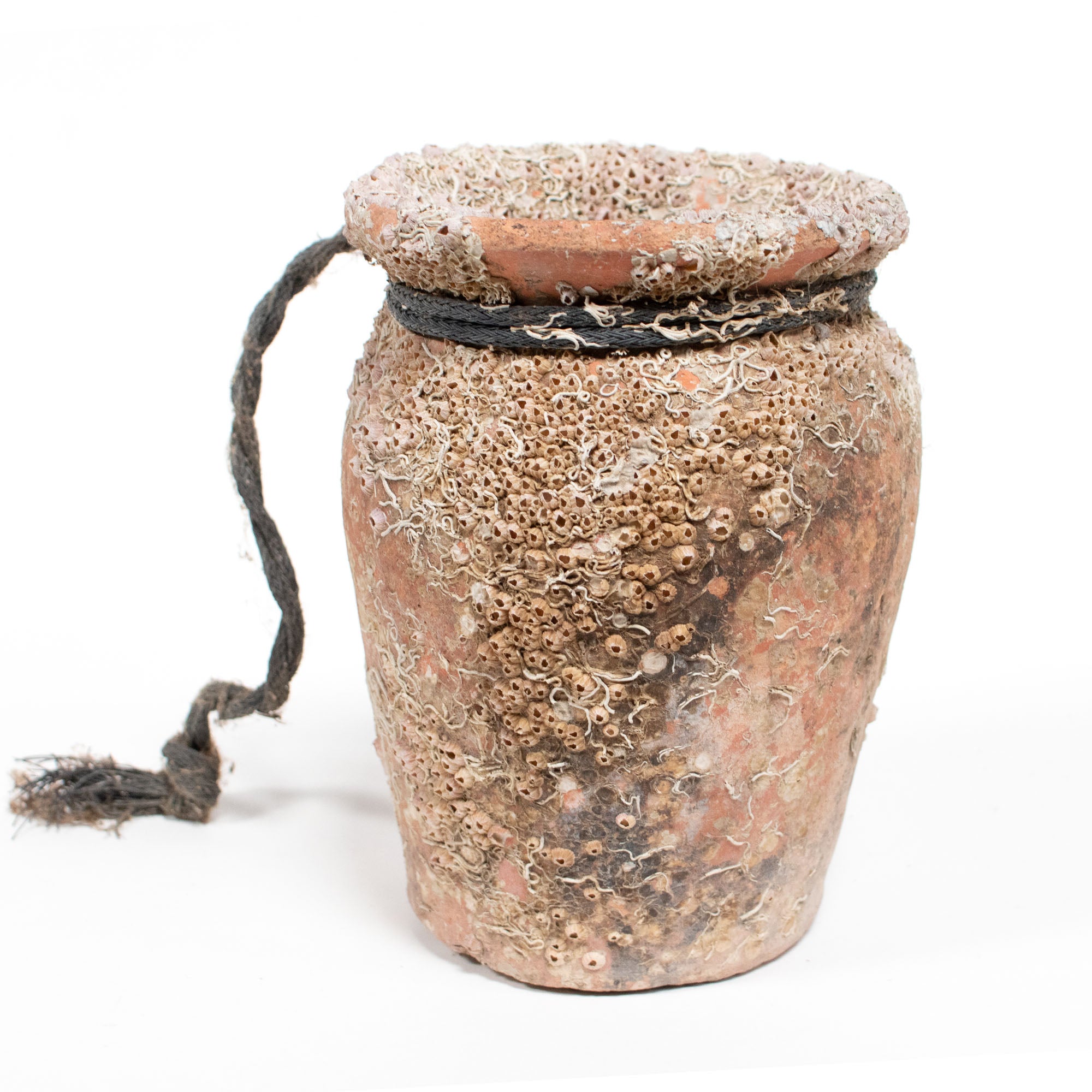 Takotsubo | Barnacle Encrusted Antique Japanese Pot