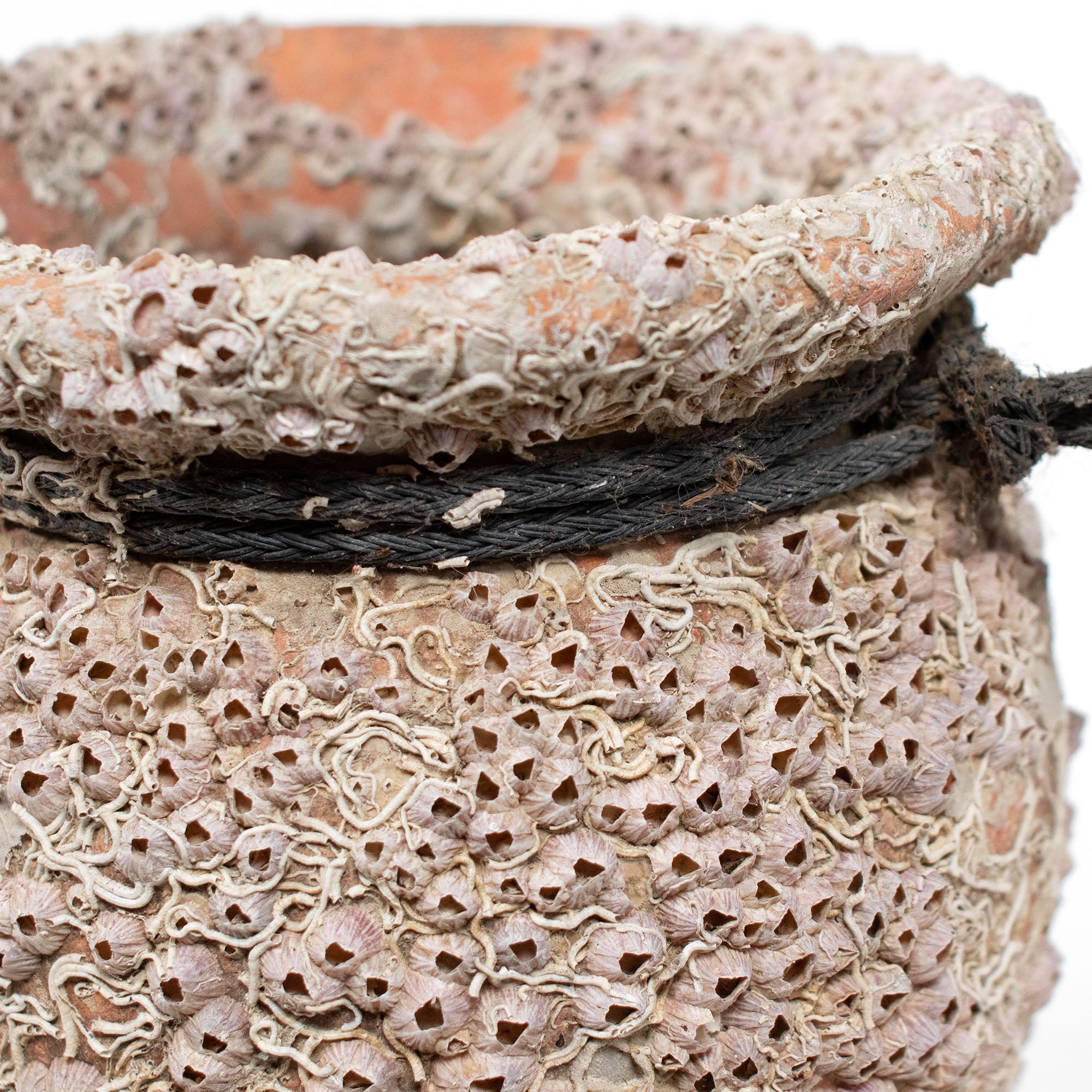 Takotsubo | Barnacle Encrusted Antique Japanese Pot