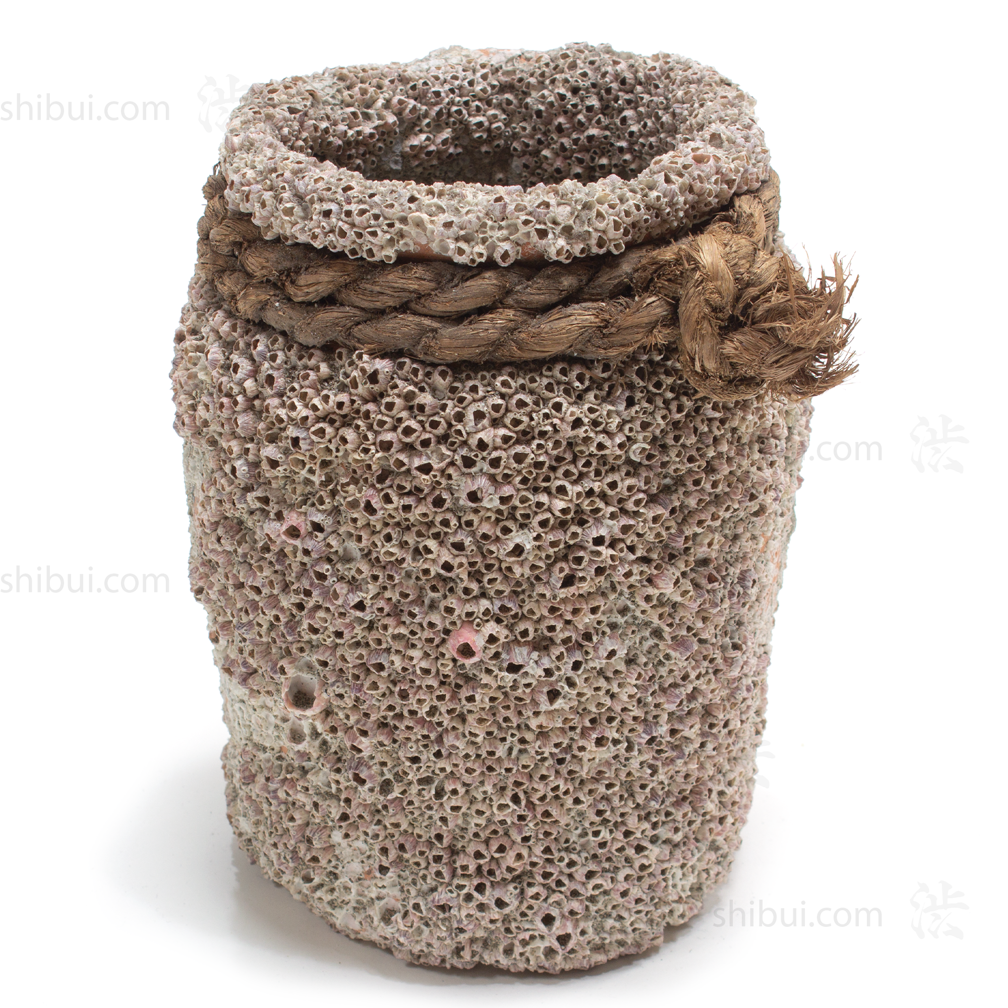 Takotsubo | Barnacle Encrusted Japanese Pot