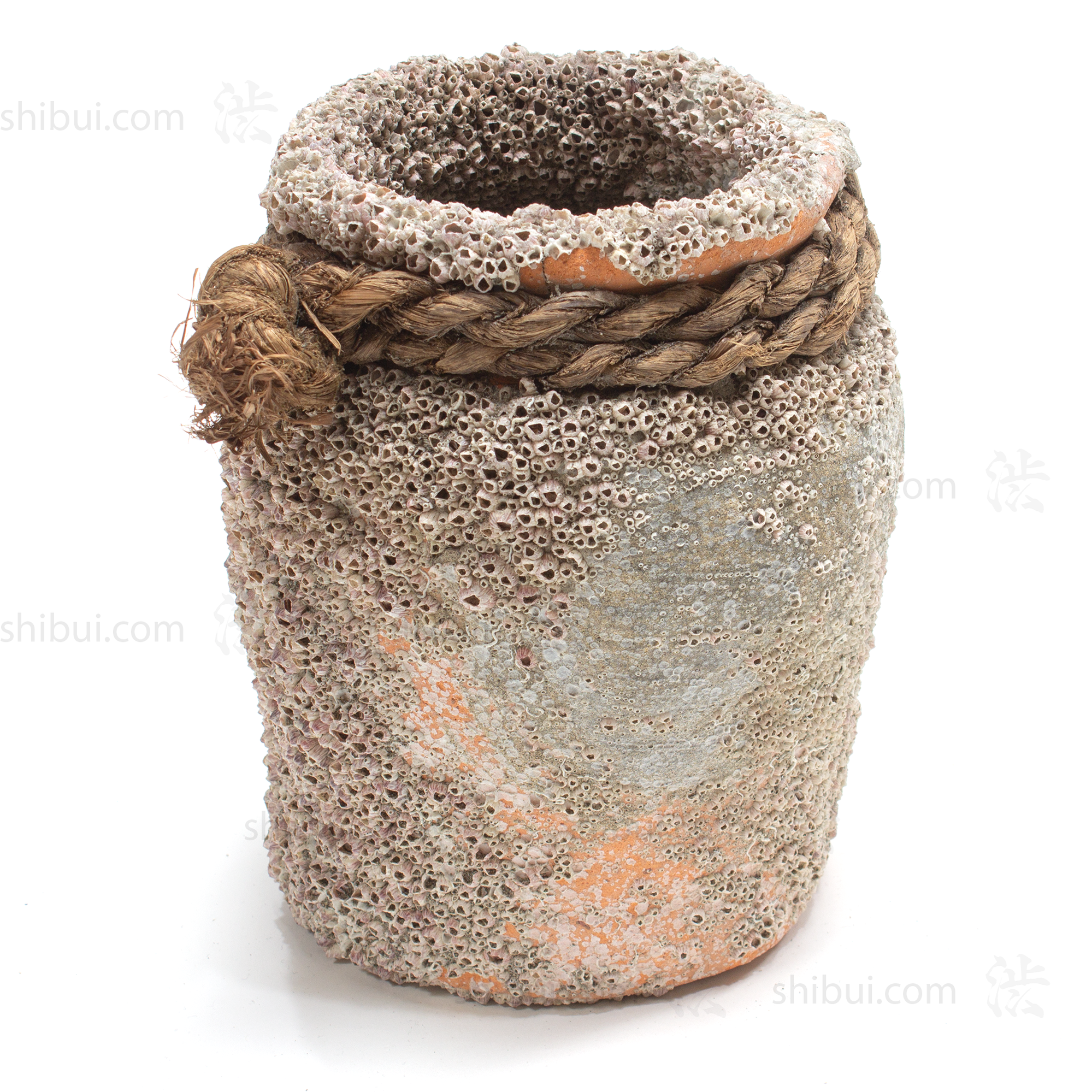 Takotsubo | Barnacle Encrusted Japanese Pot