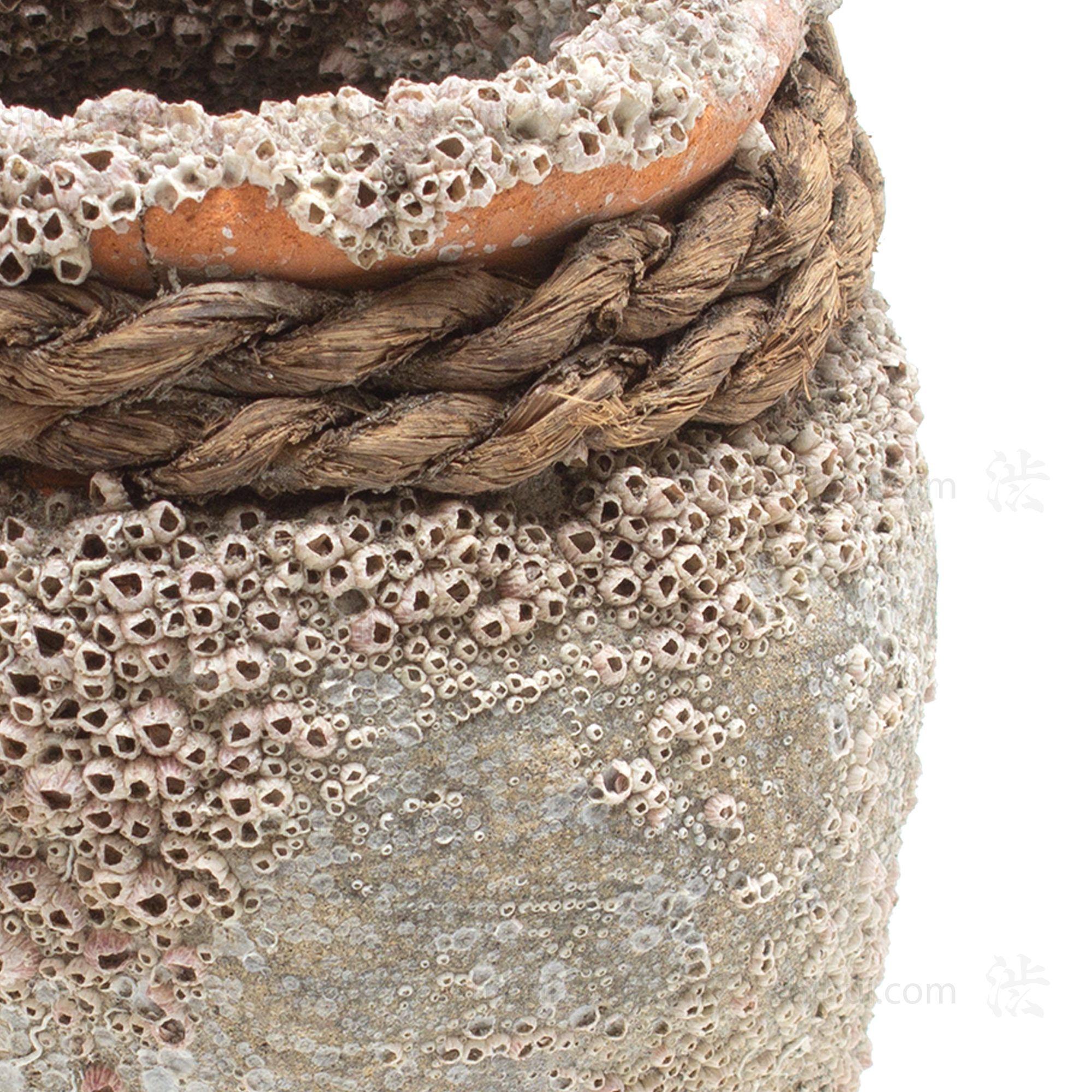 Takotsubo | Barnacle Encrusted Japanese Pot