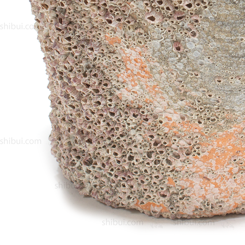 Takotsubo | Barnacle Encrusted Japanese Pot