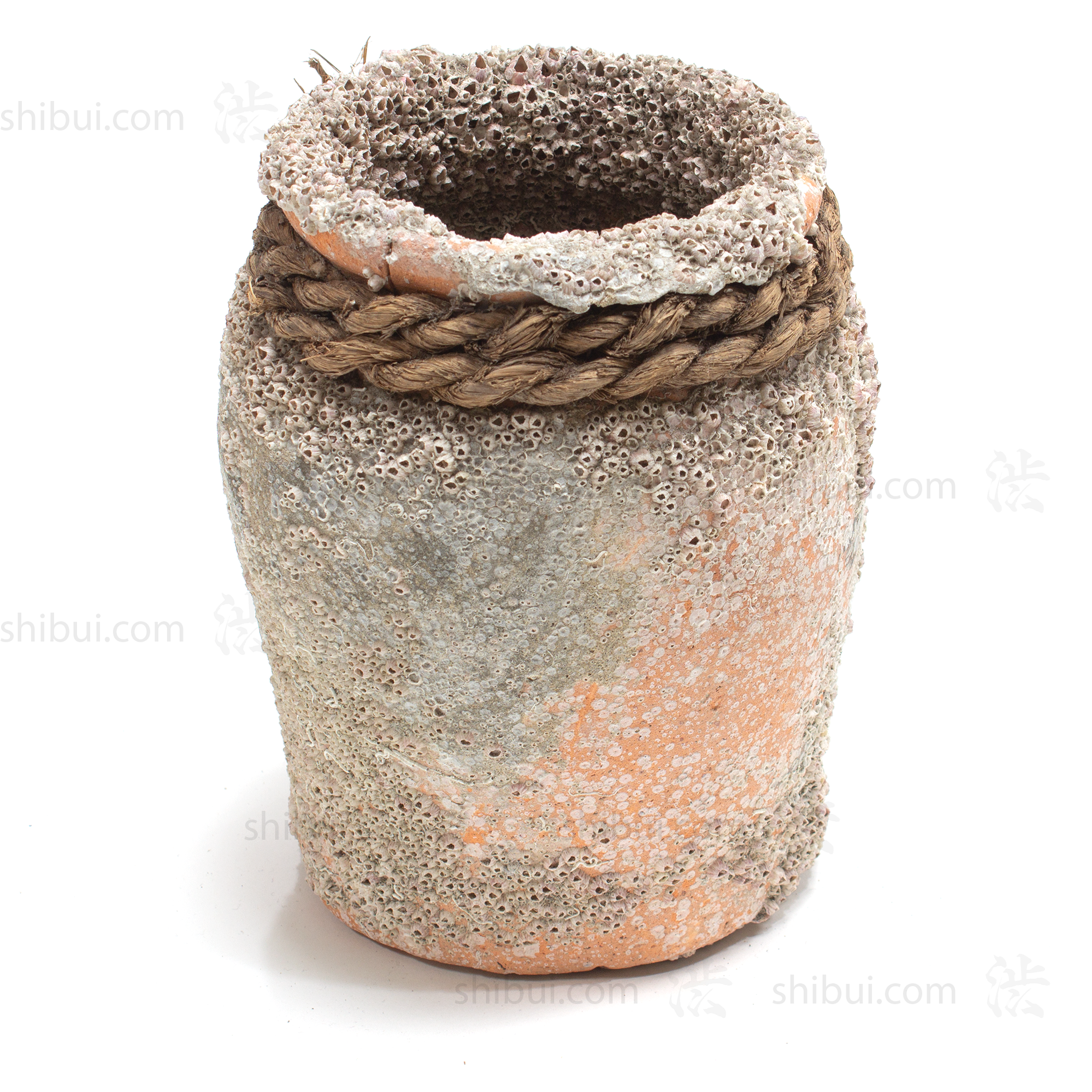 Takotsubo | Barnacle Encrusted Japanese Pot
