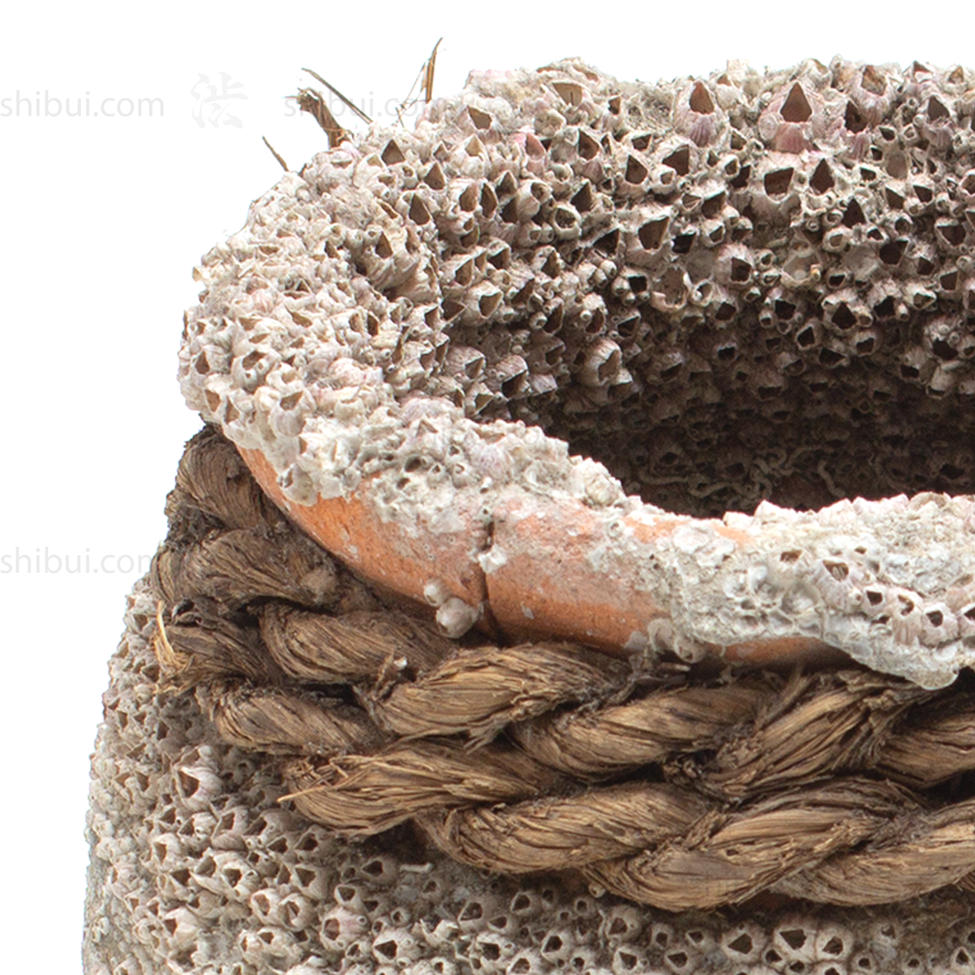 Takotsubo | Barnacle Encrusted Japanese Pot
