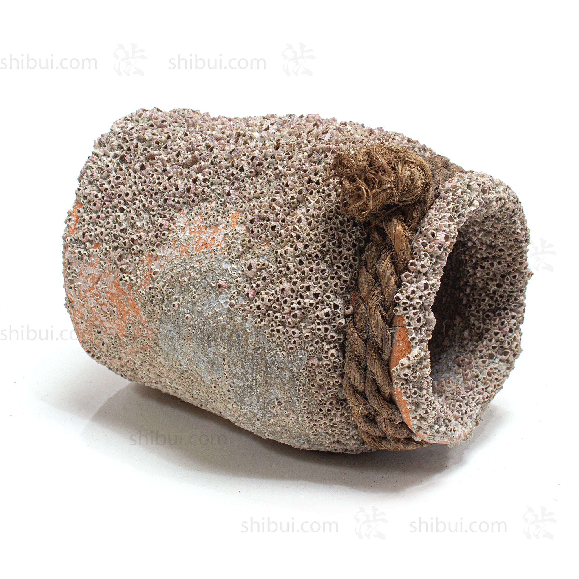Takotsubo | Barnacle Encrusted Japanese Pot