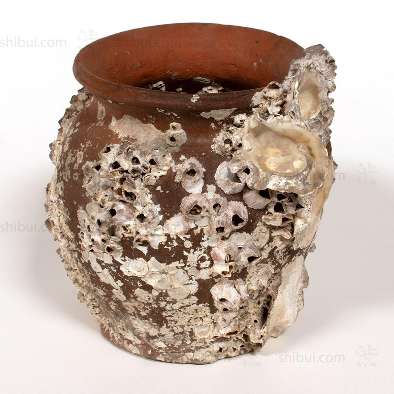 Takotsubo | Barnacle Encrusted Antique Japanese Pot