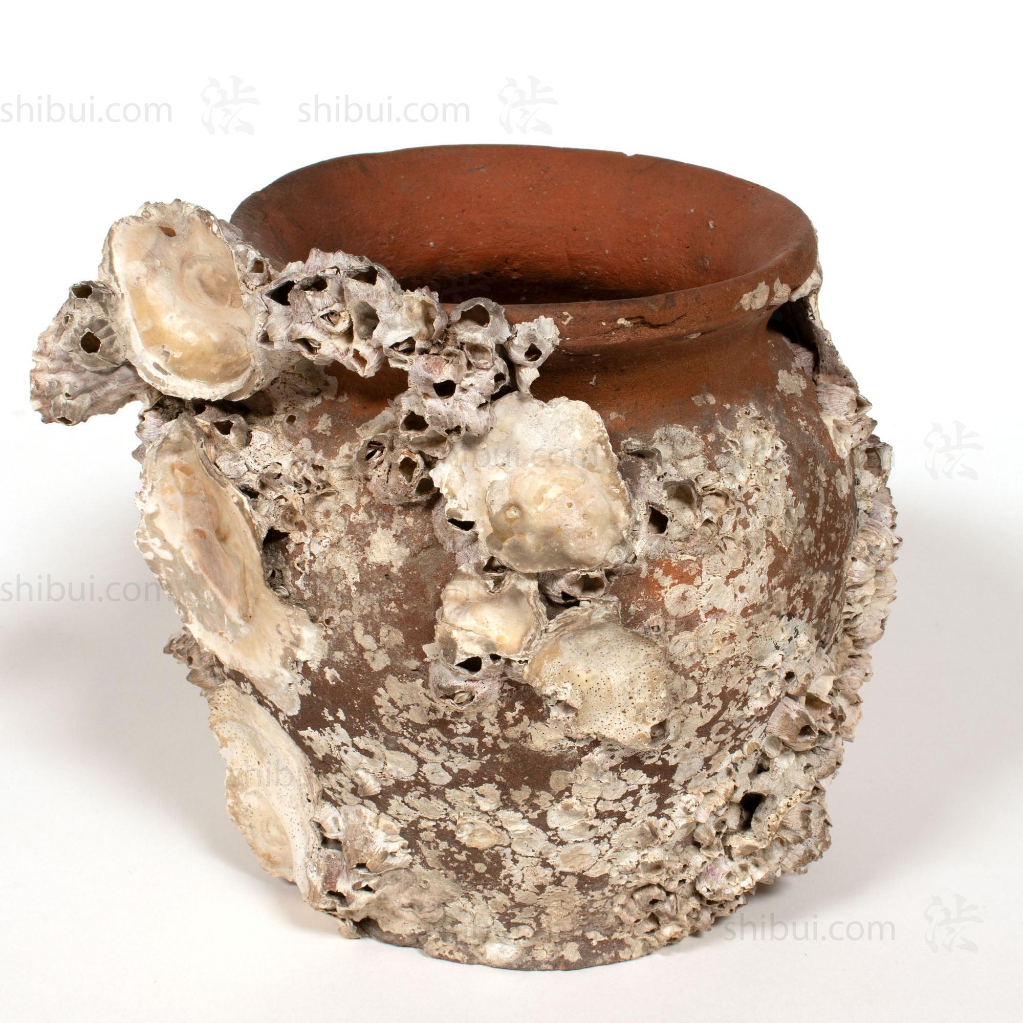 Takotsubo | Barnacle Encrusted Antique Japanese Pot
