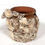 Takotsubo | Barnacle Encrusted Antique Japanese Pot