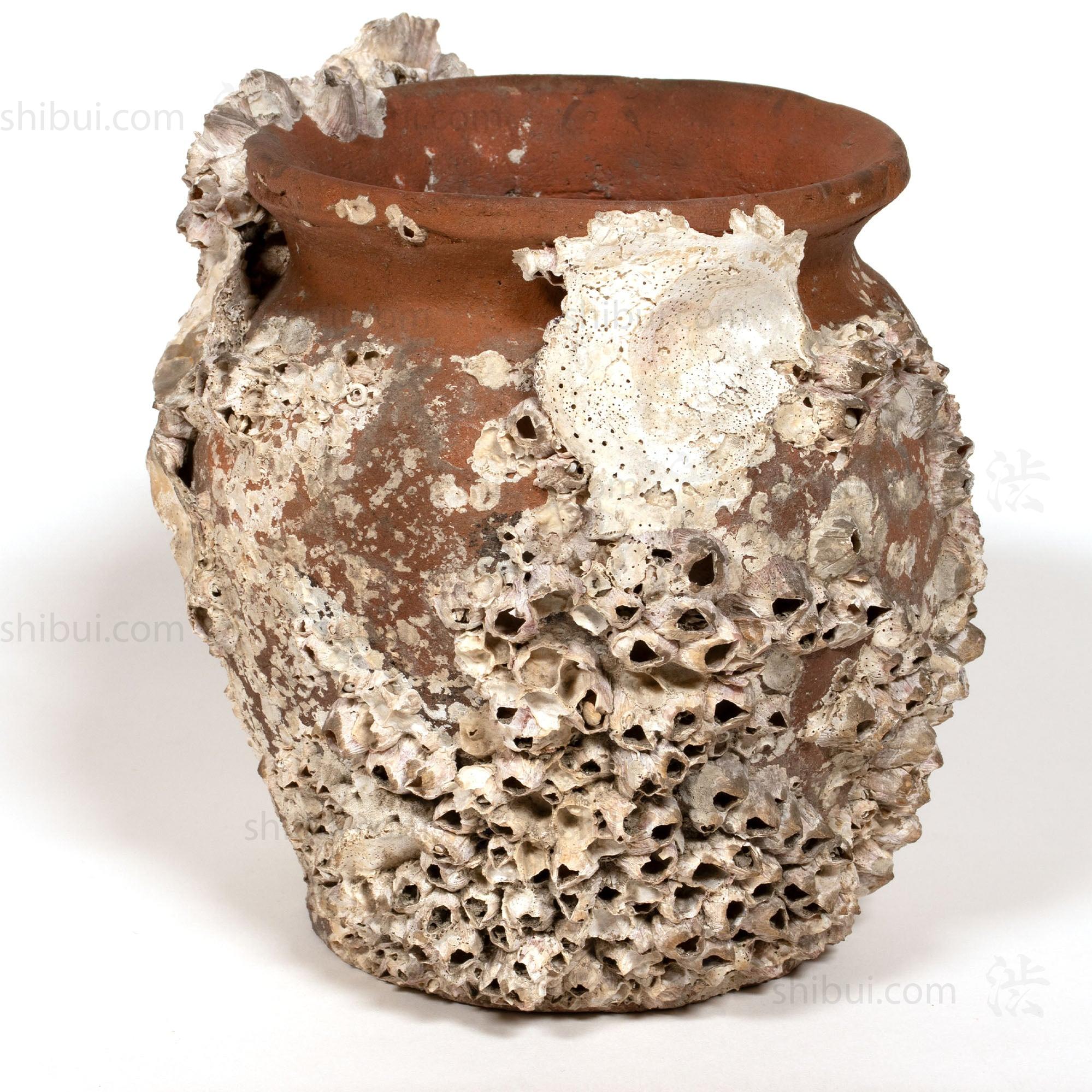 Takotsubo | Barnacle Encrusted Antique Japanese Pot
