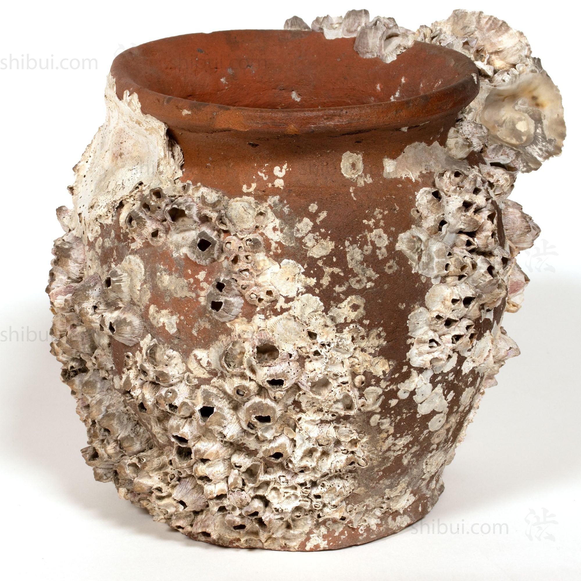 Takotsubo | Barnacle Encrusted Antique Japanese Pot