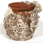 Takotsubo | Barnacle Encrusted Antique Japanese Pot