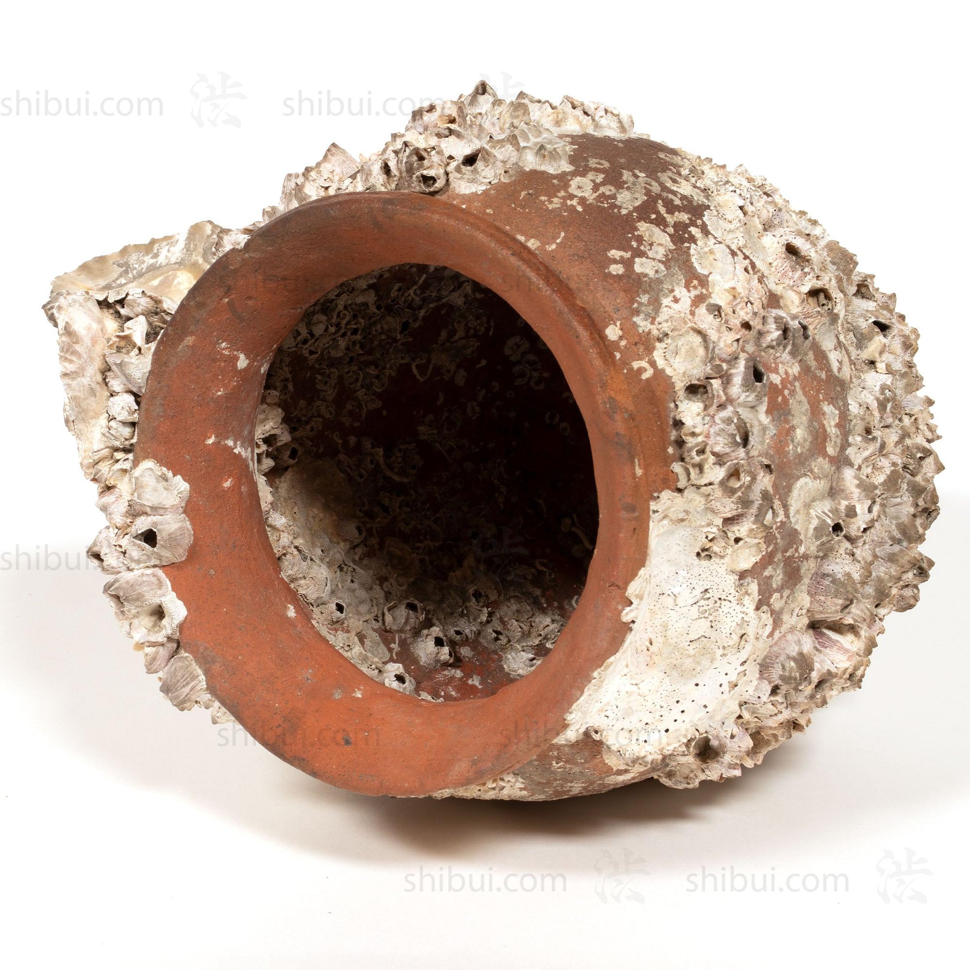 Takotsubo | Barnacle Encrusted Antique Japanese Pot