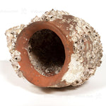 Takotsubo | Barnacle Encrusted Antique Japanese Pot