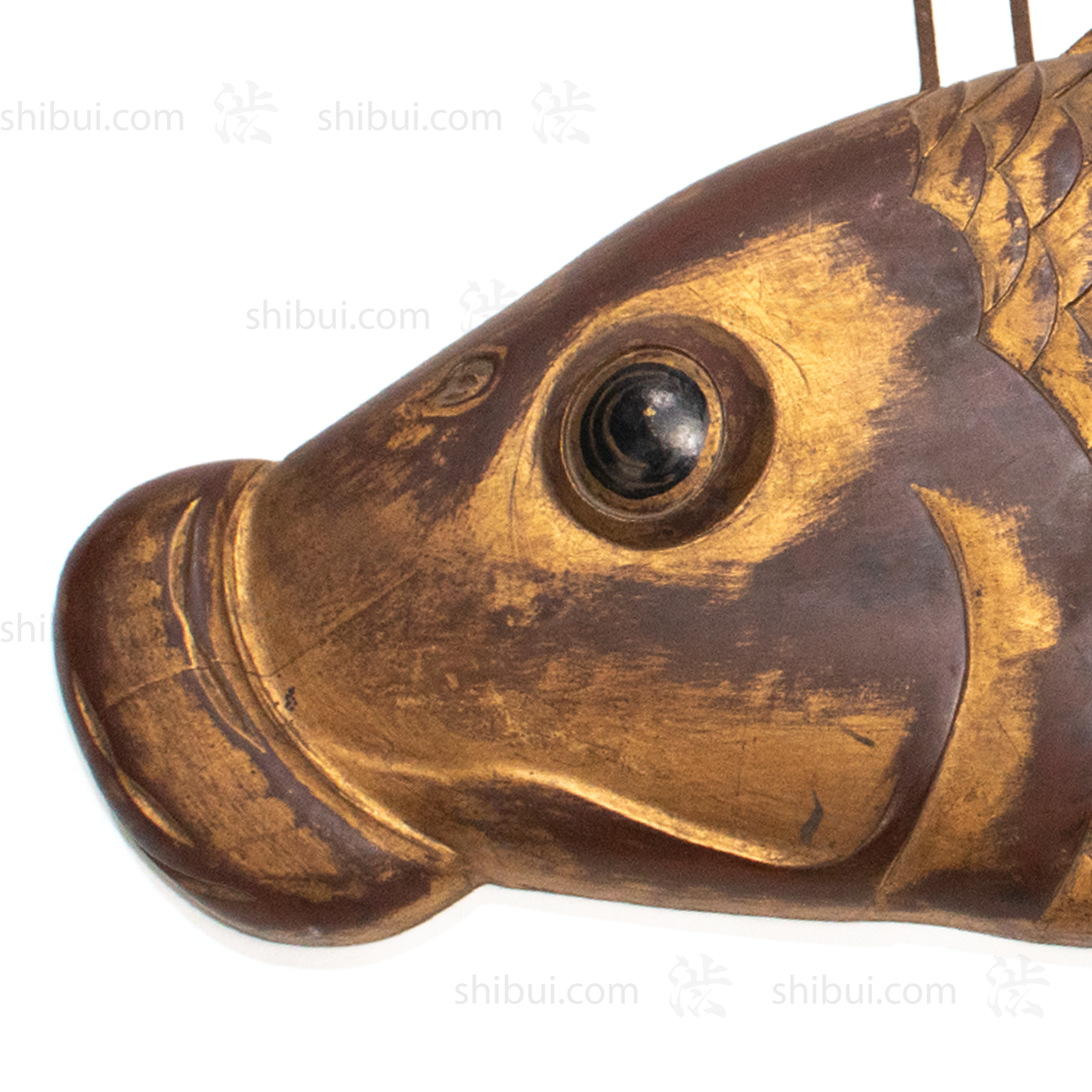 Koi Kanban | Vintage Japanese Sign