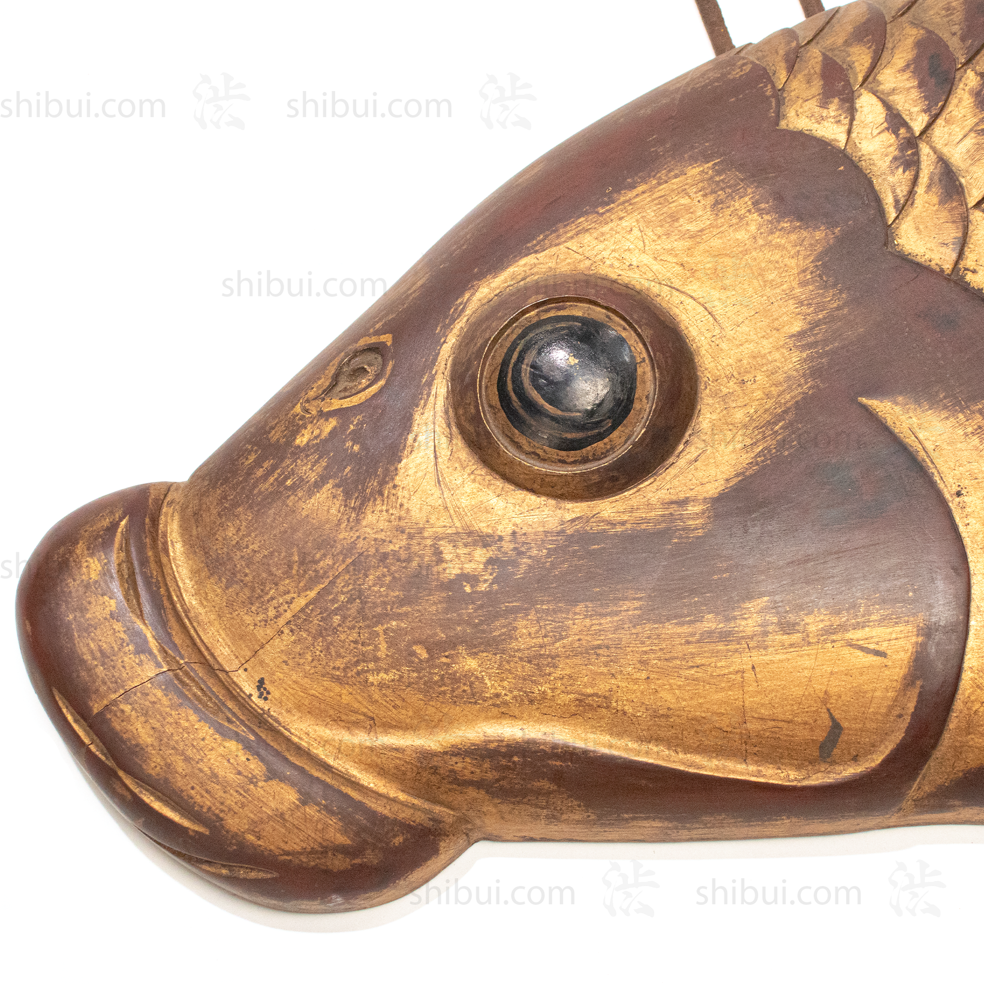 Koi Kanban | Vintage Japanese Sign