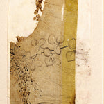 16th Century Textile Fragment