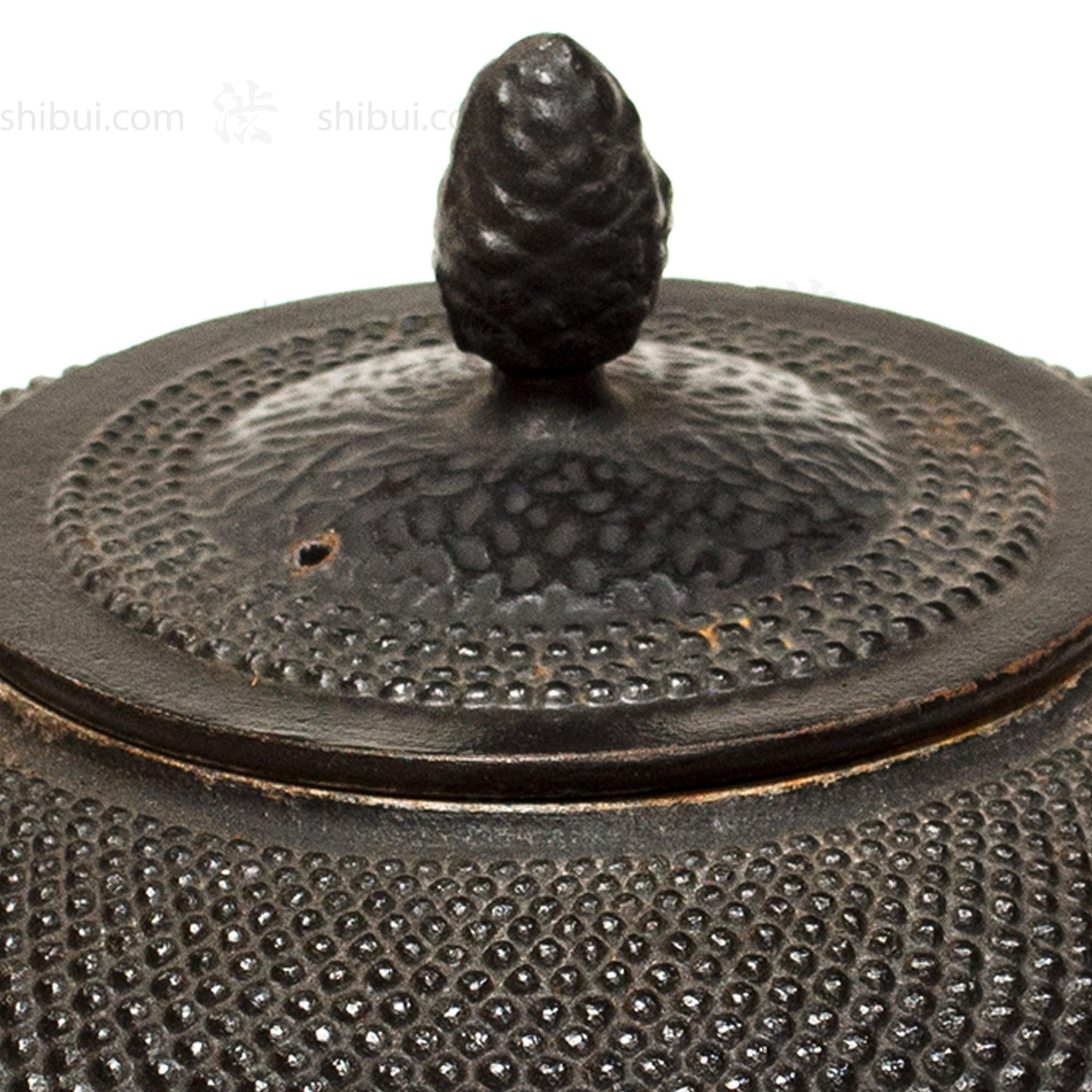 Large Tetsubin - Iron Kettle