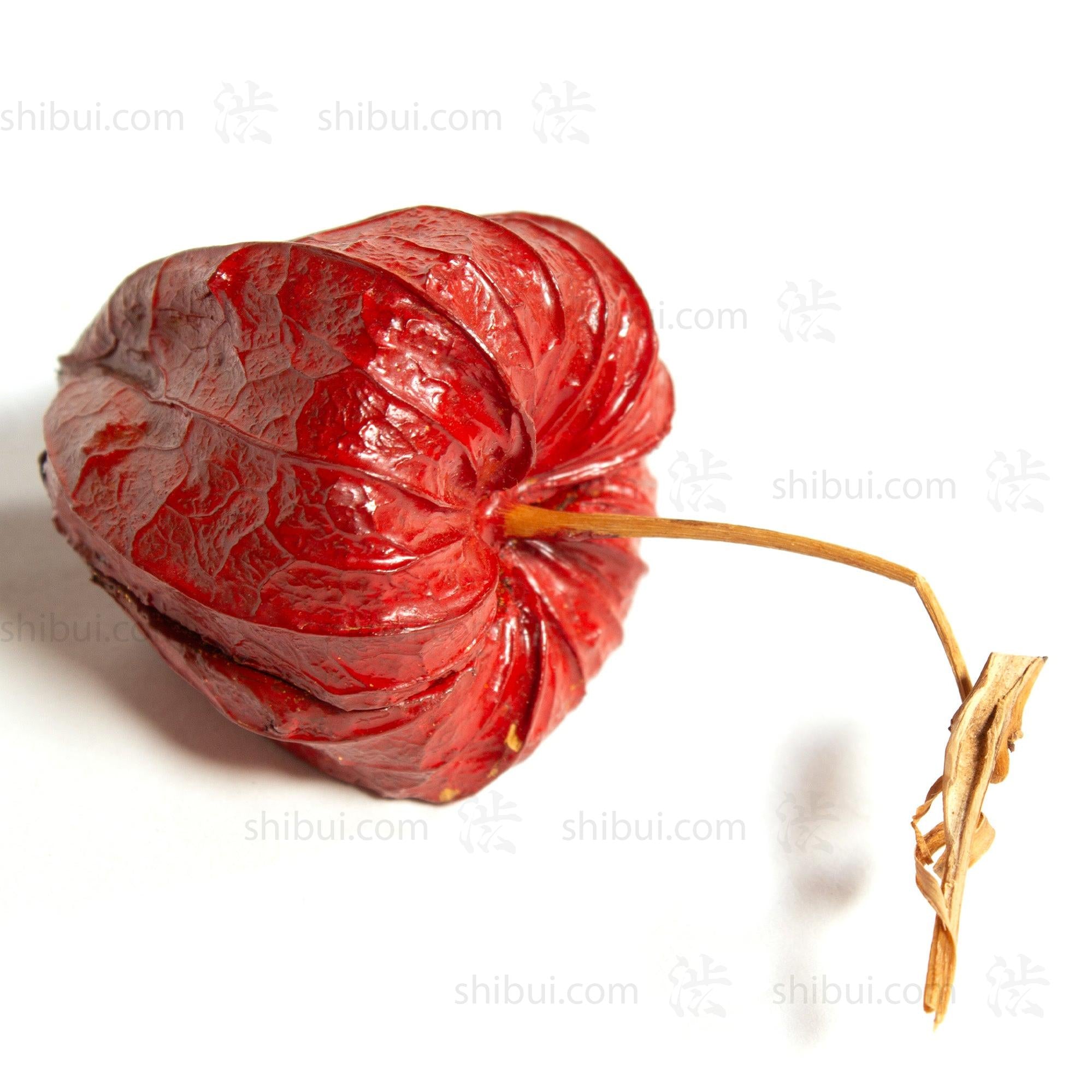 Lacquered Chinese Lantern Kogo | Japanese Incense Storage Container