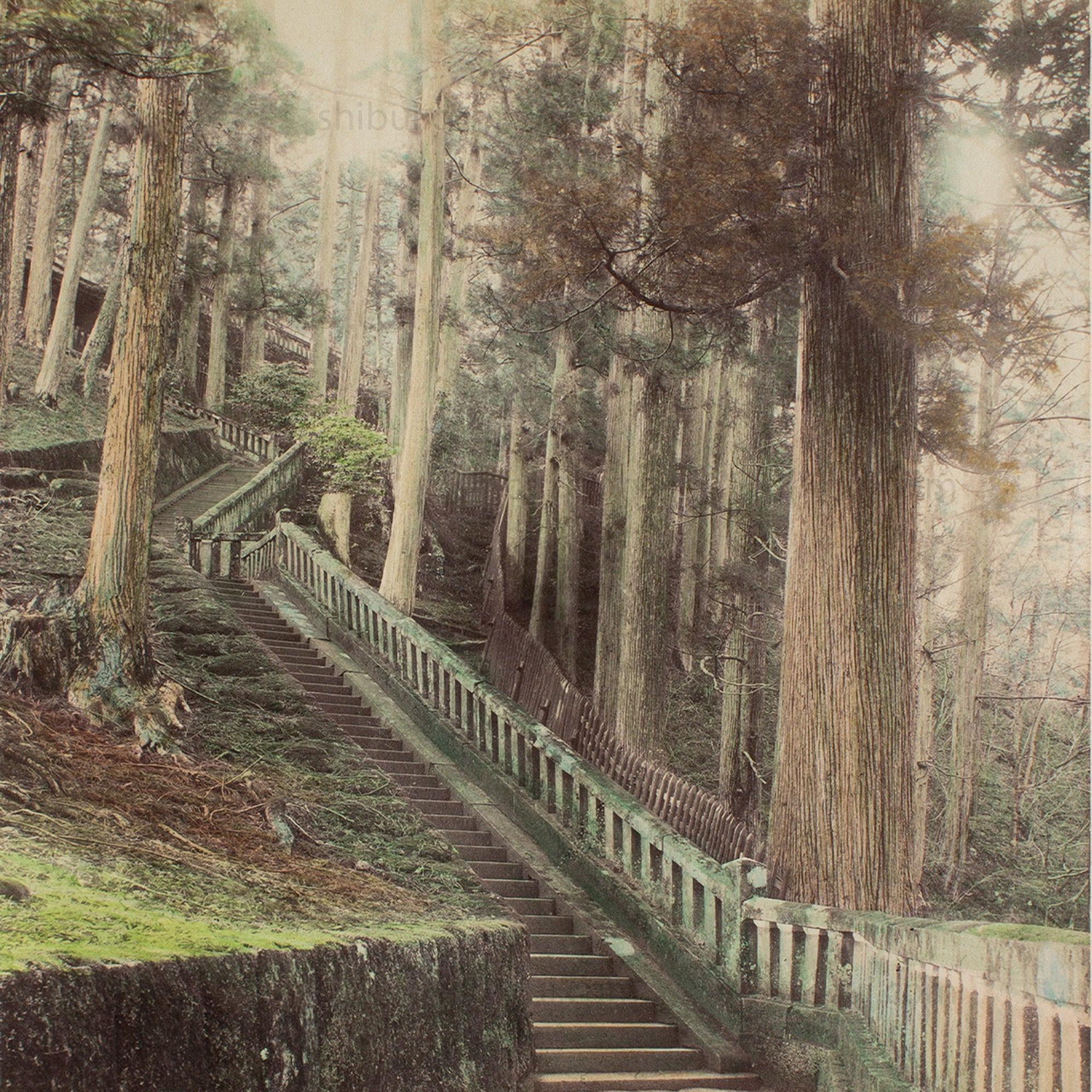 Hand Tinted Albumen of Stone Steps | Antique Japanese Photograph