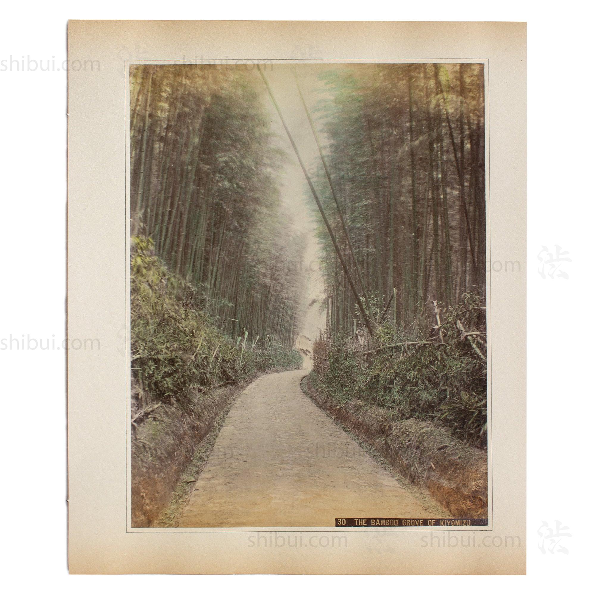 Hand Tinted Albumen of Kiyomizu Bamboo Grove | Antique Japanese Photograph