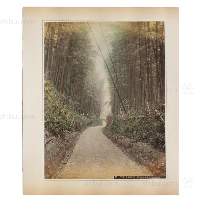Hand Tinted Albumen of Kiyomizu Bamboo Grove | Antique Japanese Photograph