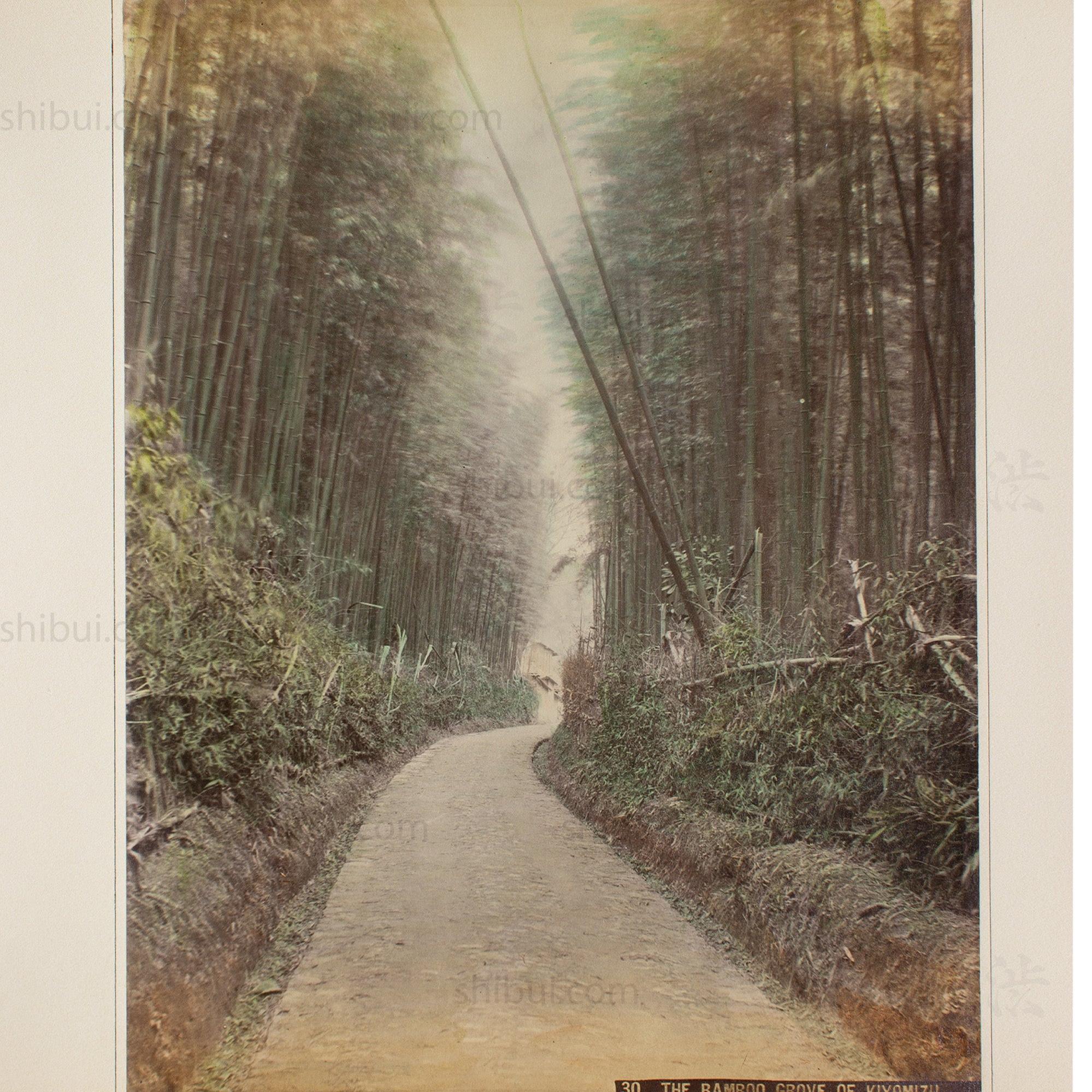 Hand Tinted Albumen of Kiyomizu Bamboo Grove | Antique Japanese Photograph
