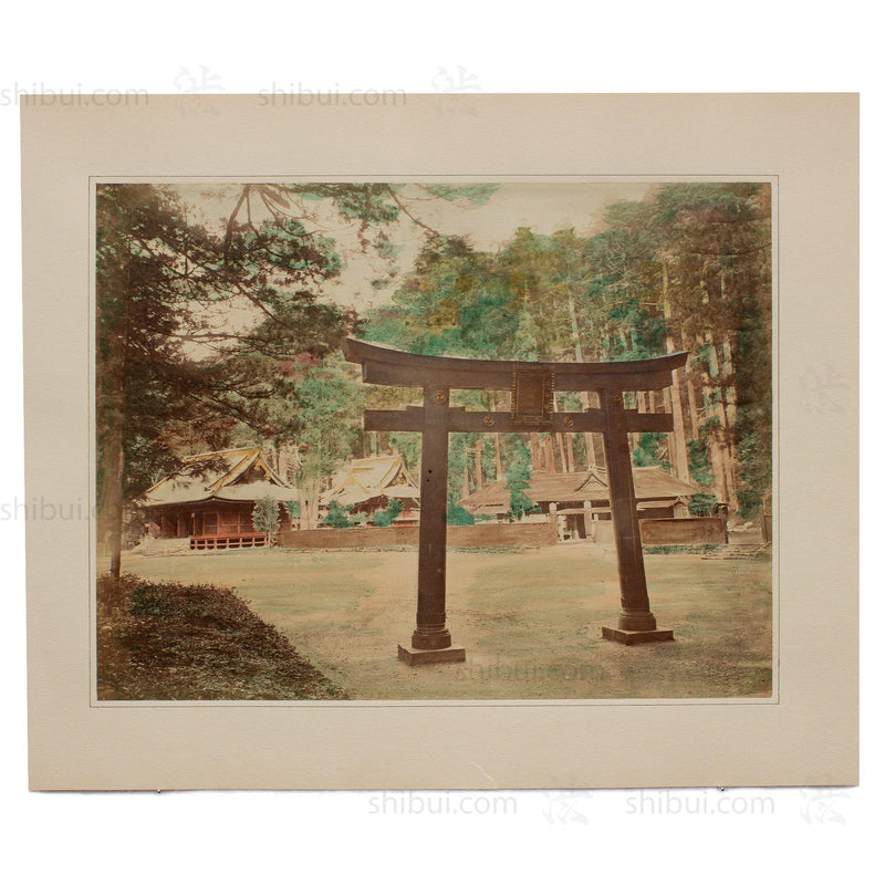 Hand Tinted Albumen of Torii Gate | Antique Japanese Photograph