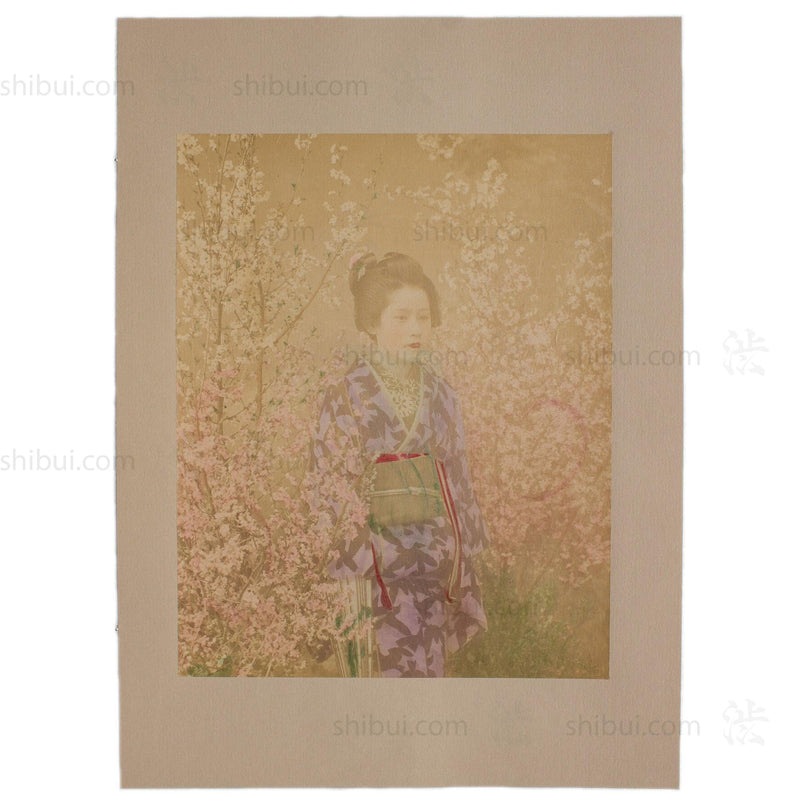 Hand Tinted Albumen of a Geisha | Antique Japanese Photograph
