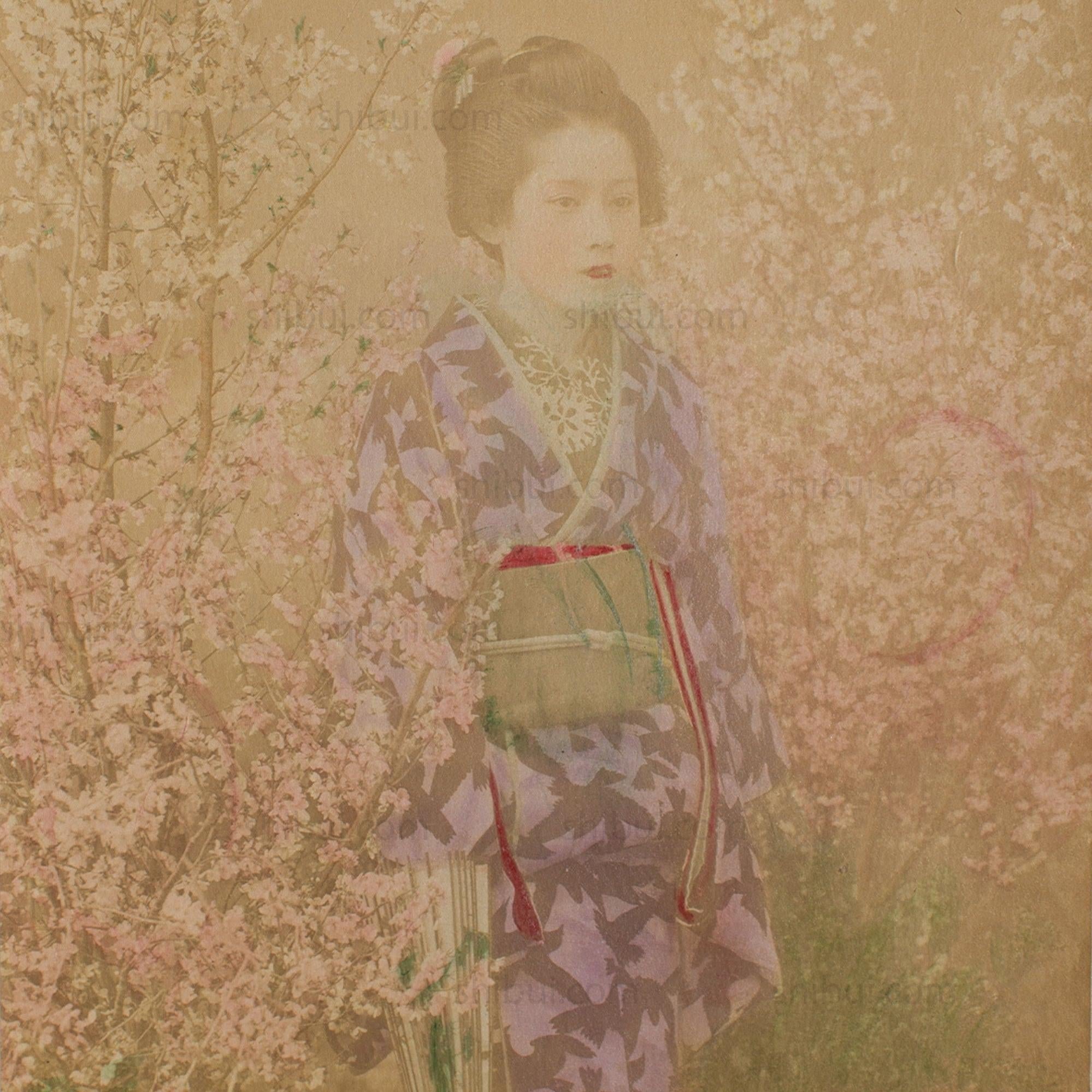 Hand Tinted Albumen of a Geisha | Antique Japanese Photograph