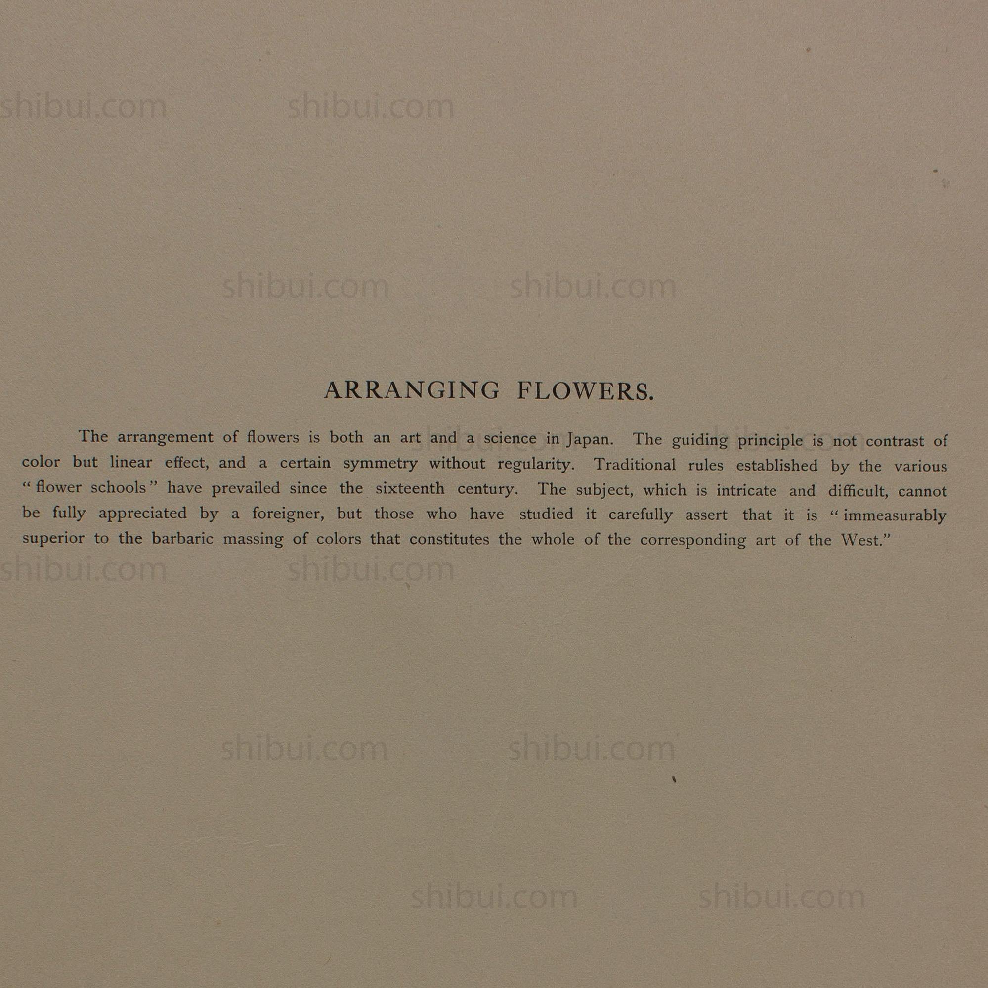 Hand Tinted Albumen of Ikebana Flower Arranging | Antique Japanese Photograph