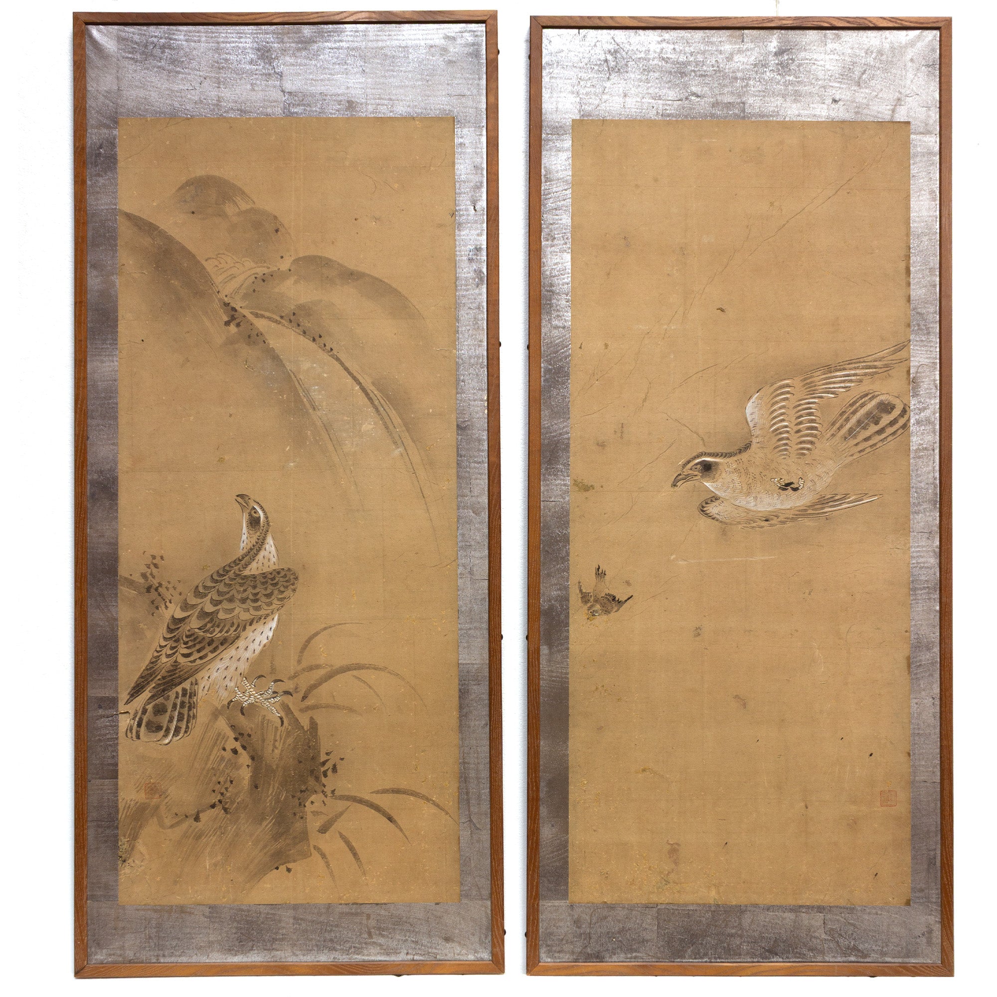 Pair of Mounted Hawk Paintings