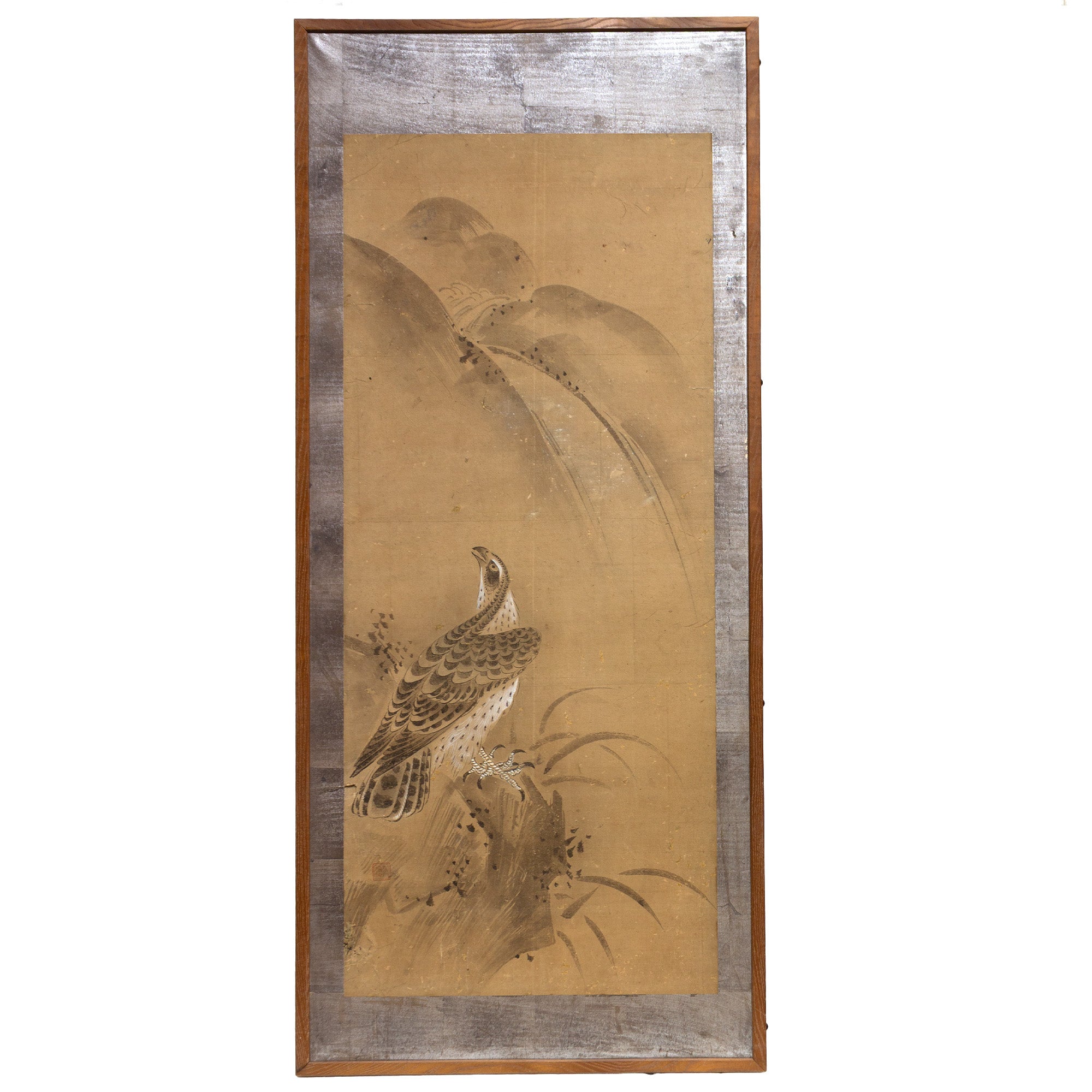 Pair of Mounted Hawk Paintings