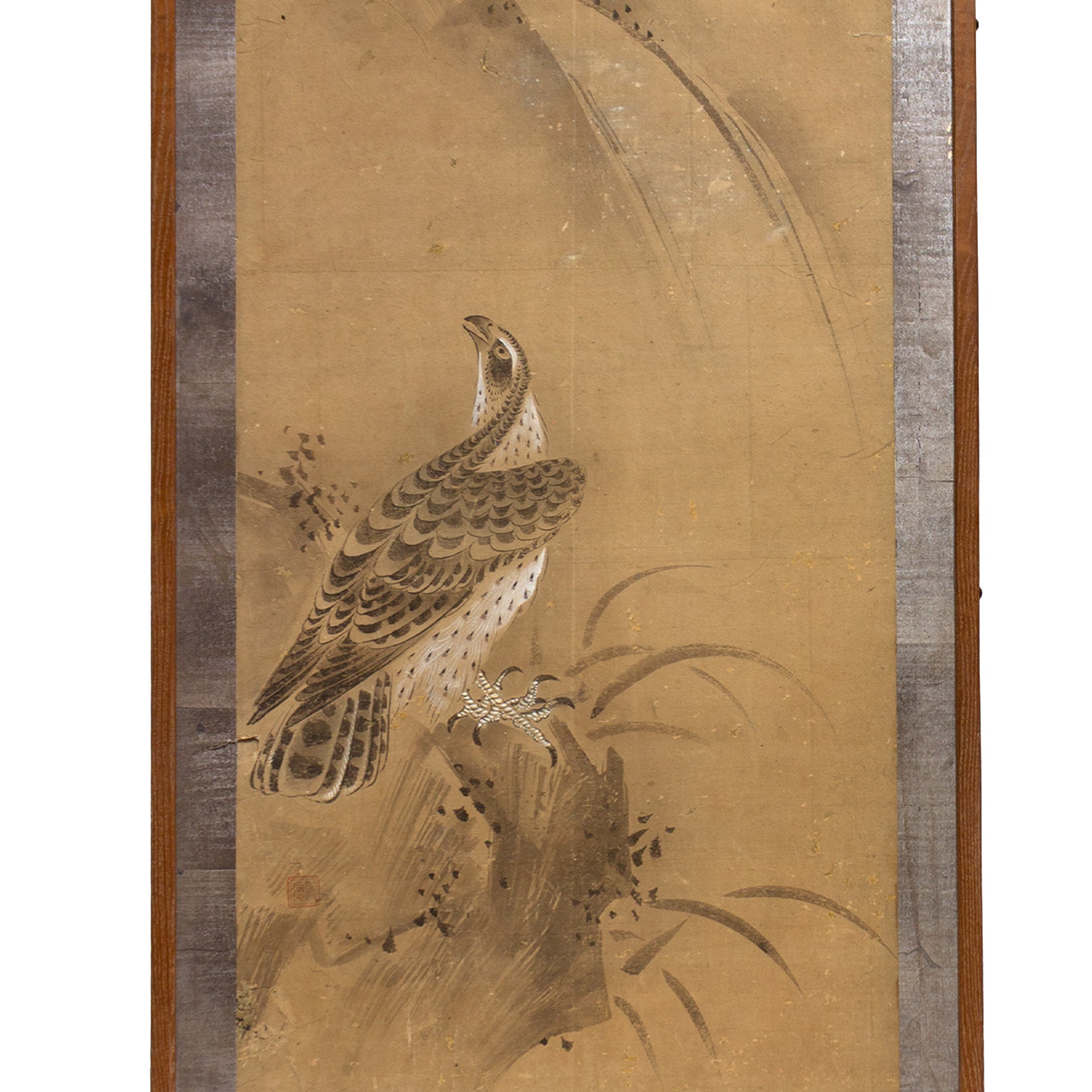 Pair of Mounted Hawk Paintings