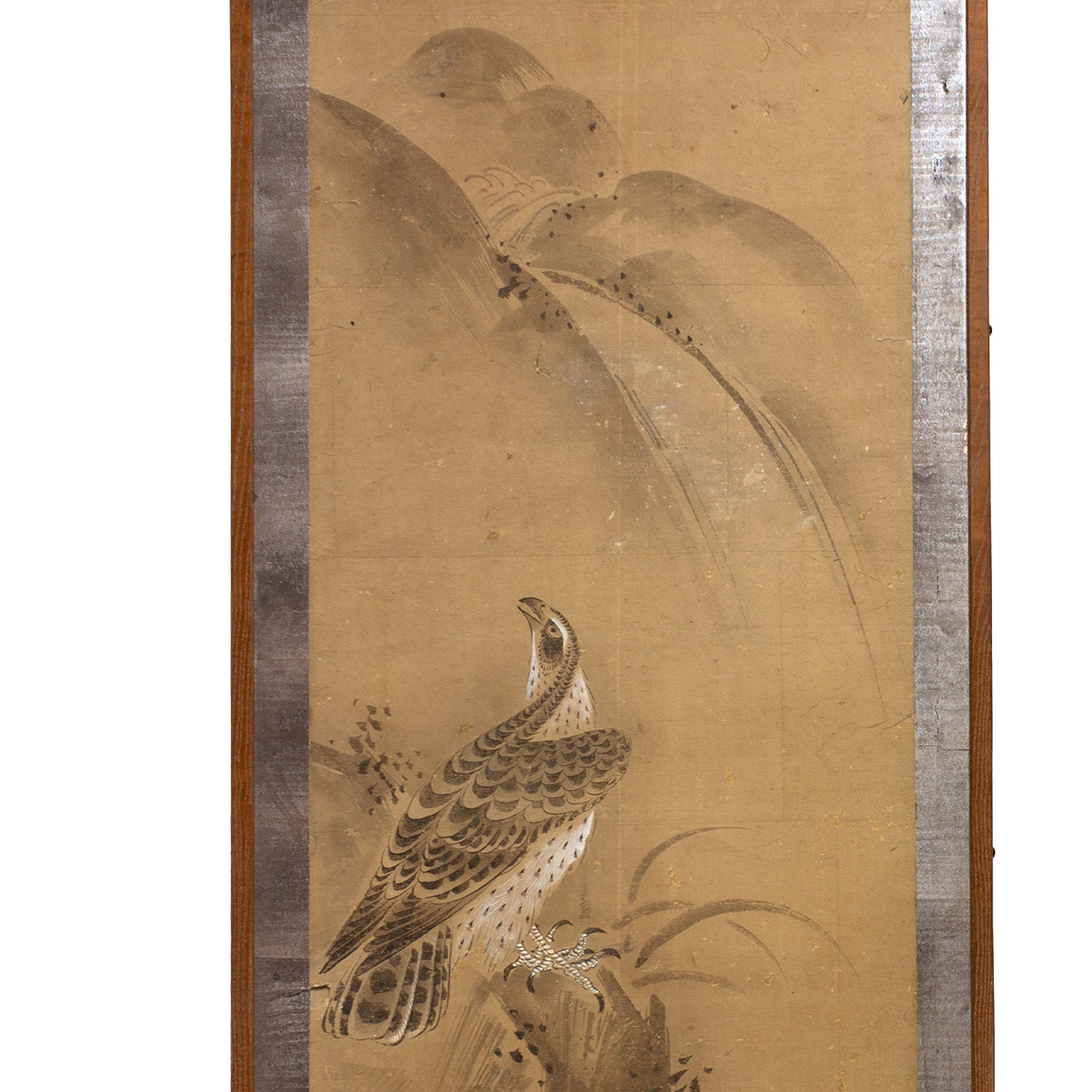 Pair of Mounted Hawk Paintings