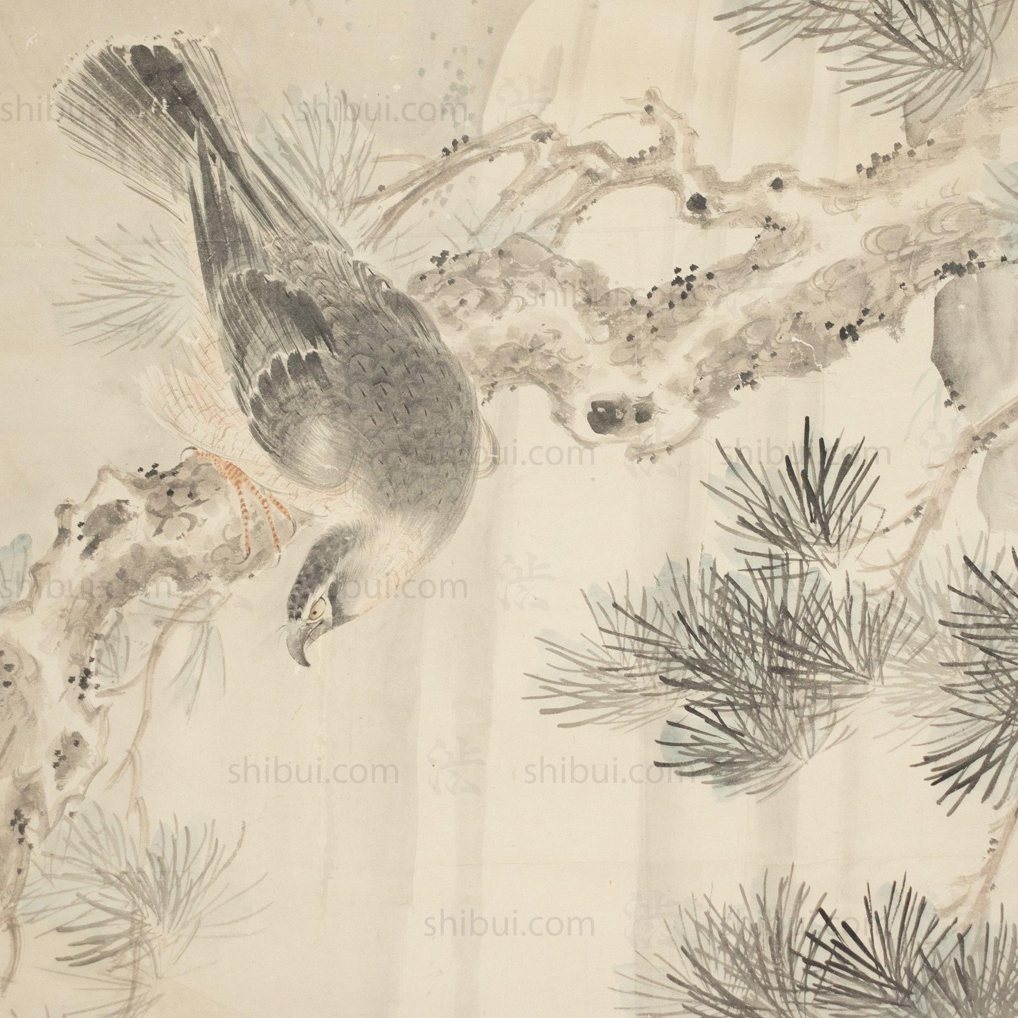 Large Antique Japanese Hawk & Pine Scroll