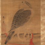 Antique Japanese Hawk & Red Cord Scroll