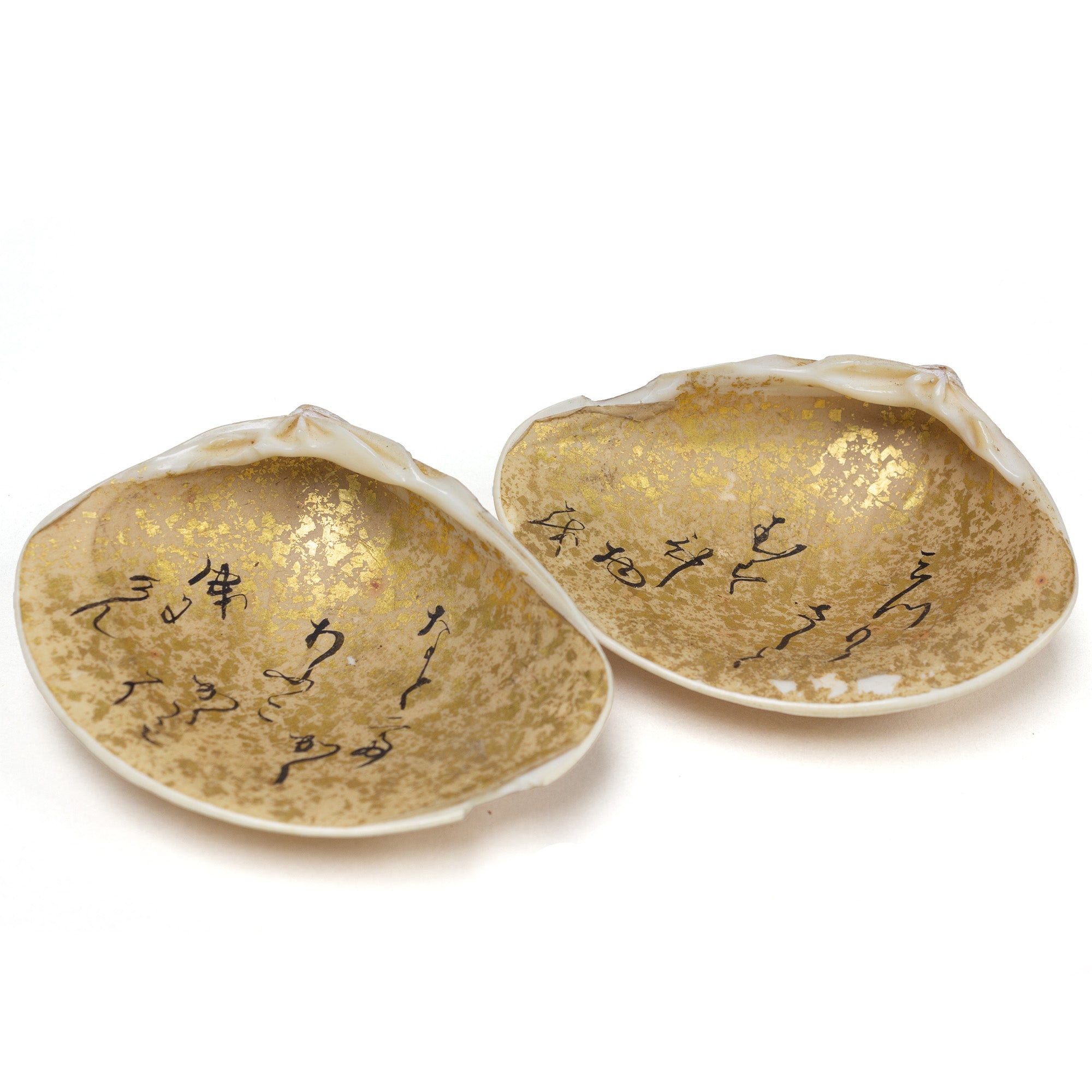 Single Shell Set From Shell Game