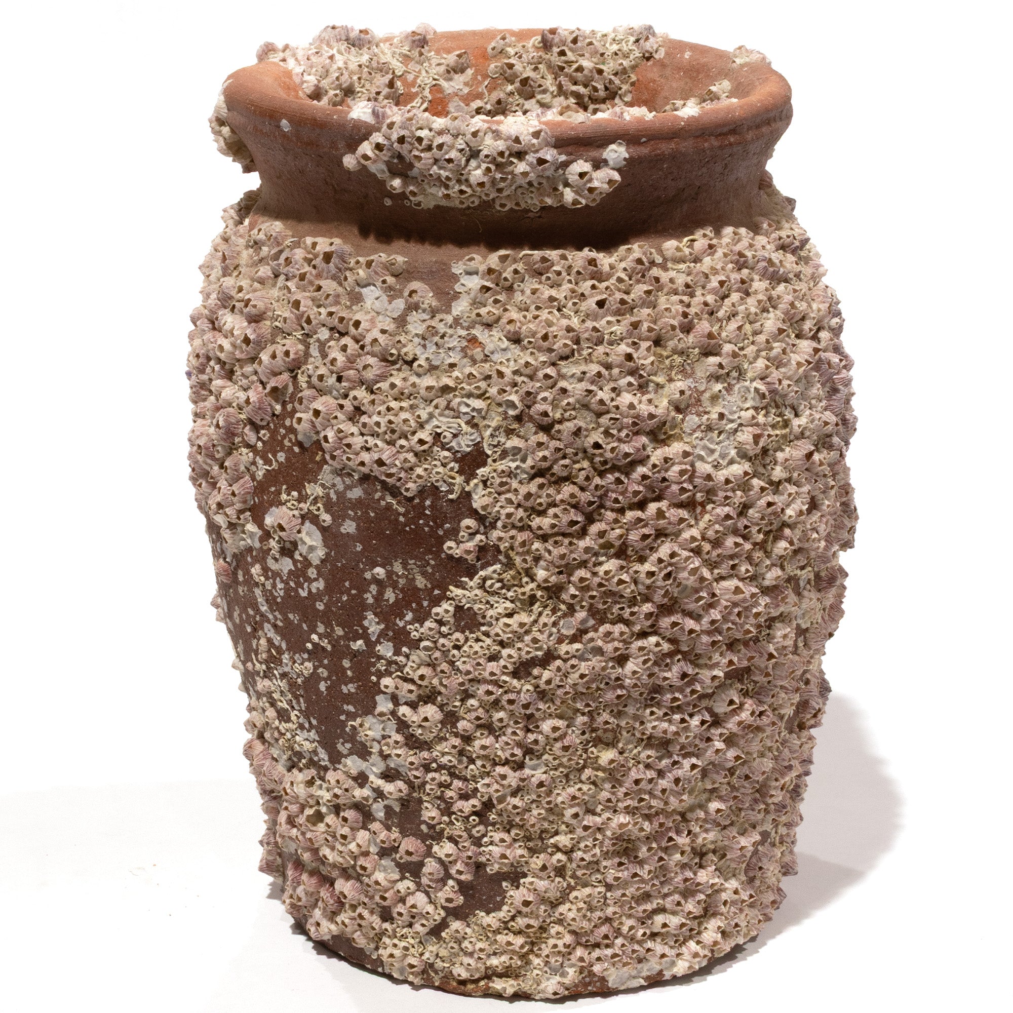 Takotsubo | Barnacle Encrusted Antique Japanese Pot