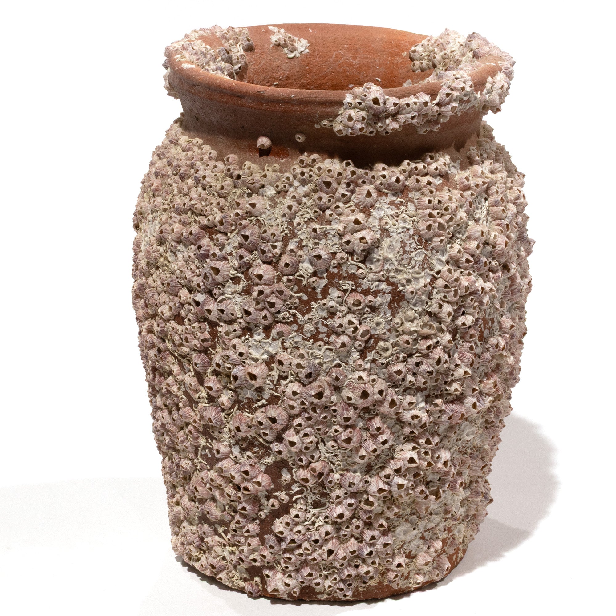 Takotsubo | Barnacle Encrusted Antique Japanese Pot