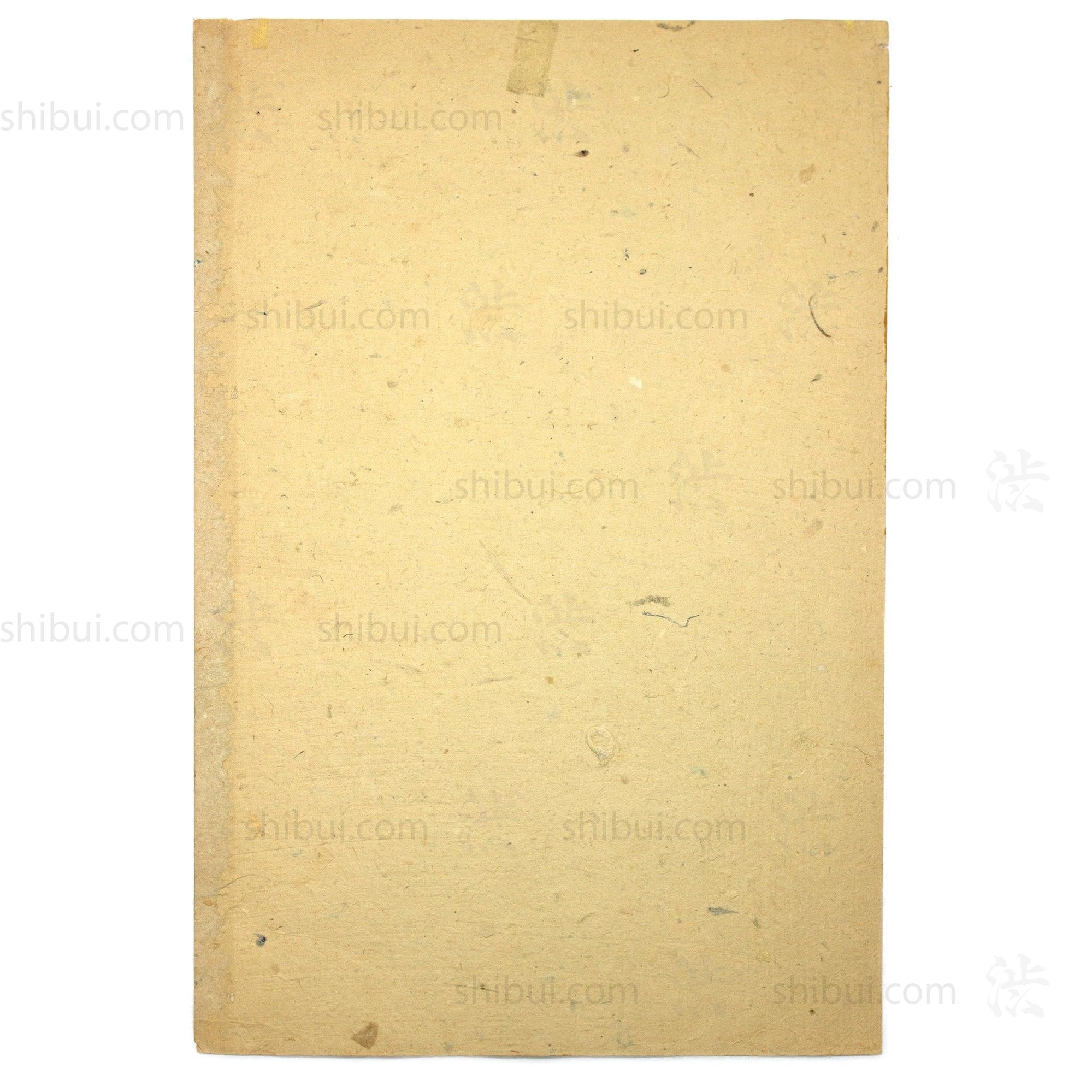 Kishida Ginko Print | 1875 Japanese Wood Block Newspaper Print