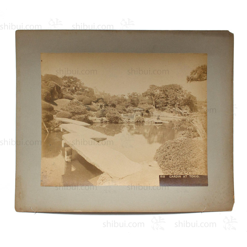 Antique Japanese Albumen Photo of Hotta Garden