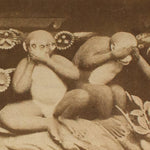 Antique Japanese Albumen Photo of Three Wise Monkeys in Toshogu Temple