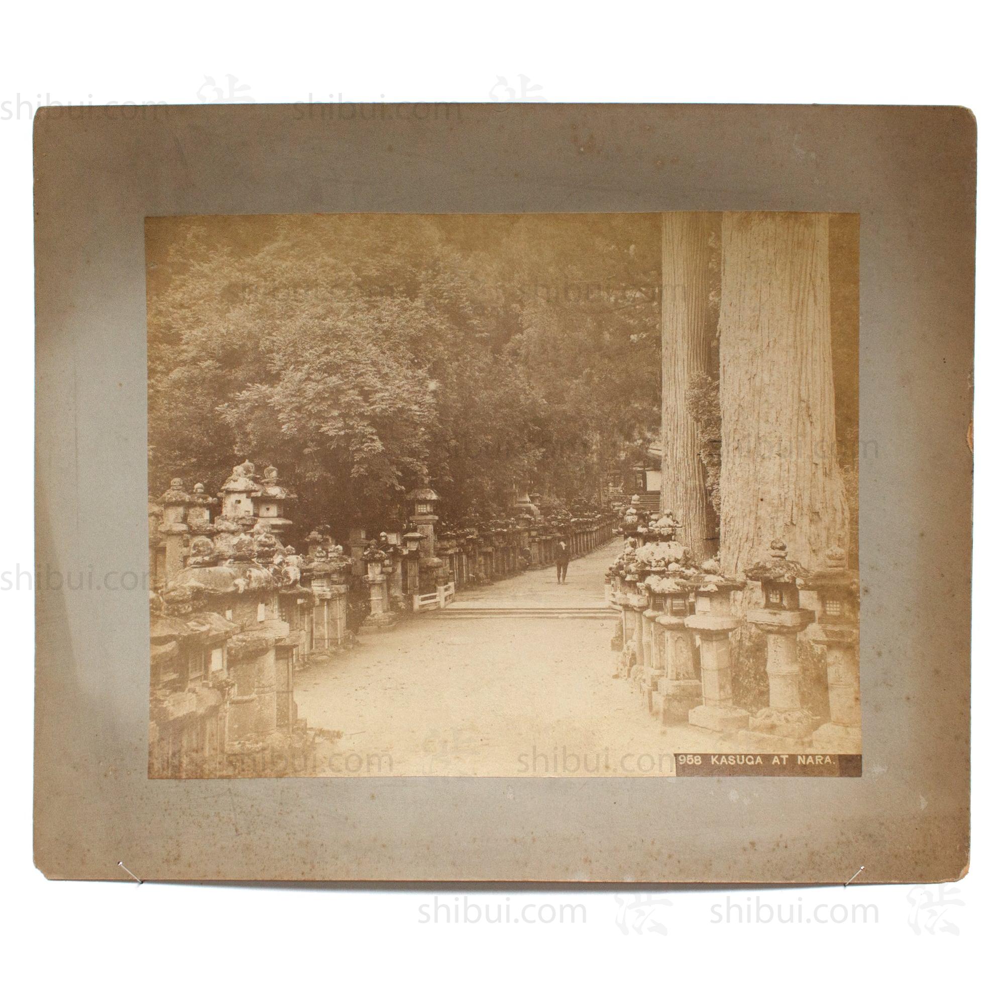 Hand Tinted Antique Japanese Albumen Photo of Kasuga Park