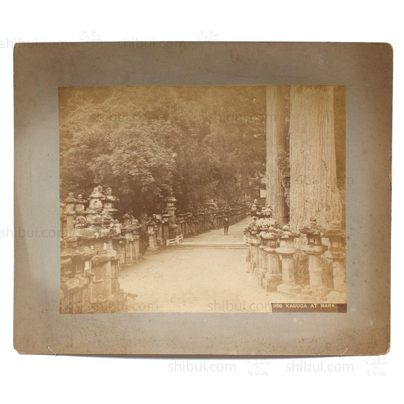 Hand Tinted Antique Japanese Albumen Photo of Kasuga Park