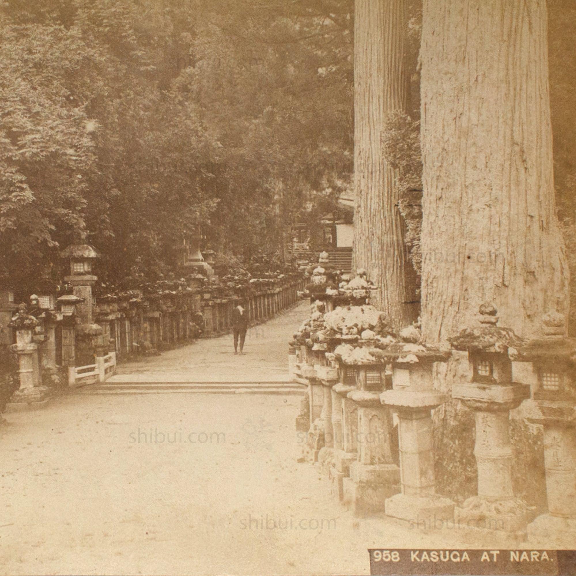 Hand Tinted Antique Japanese Albumen Photo of Kasuga Park
